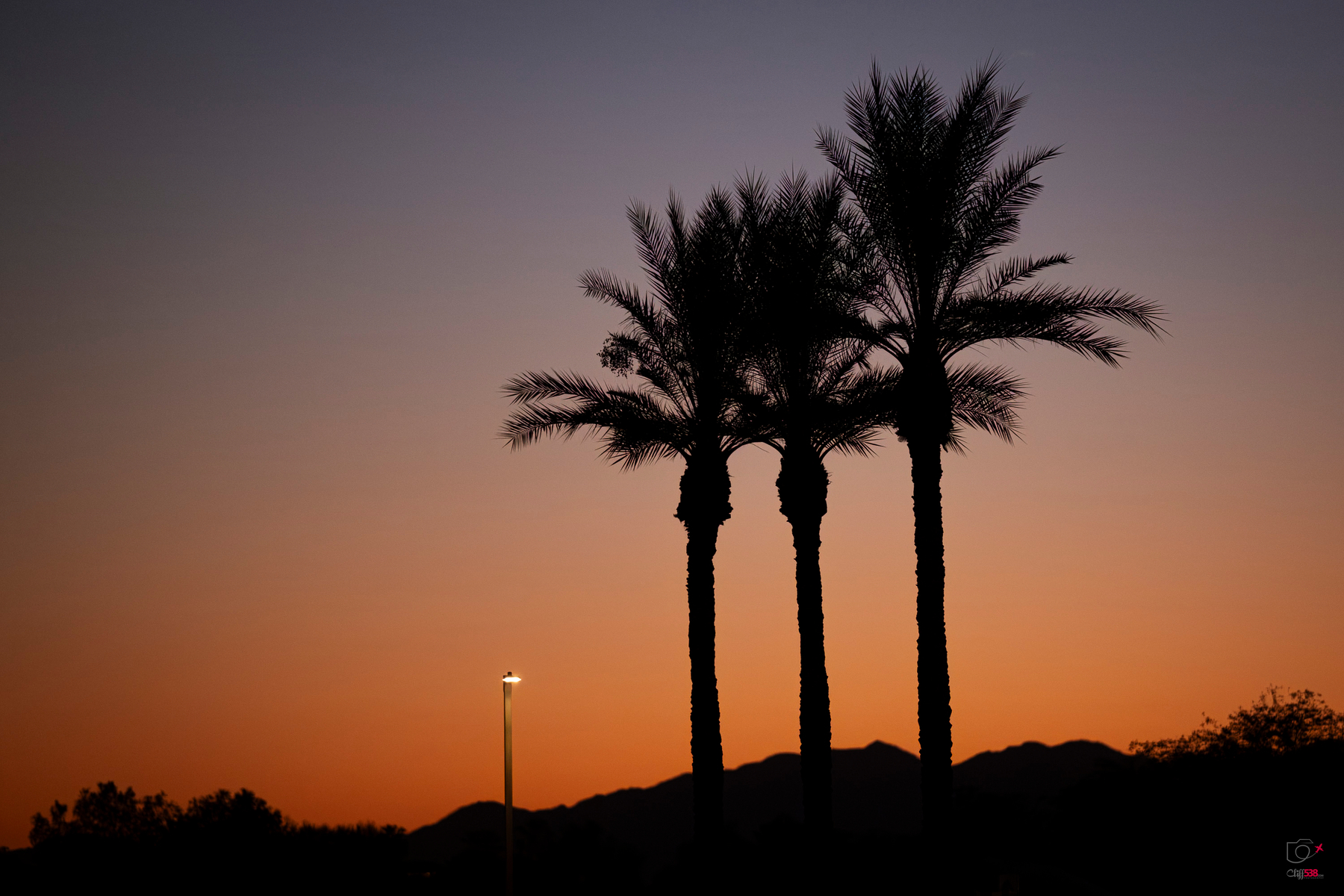 Auto-generated description: Three palm trees stand silhouetted against a colorful sunset sky with a single streetlight glowing nearby.