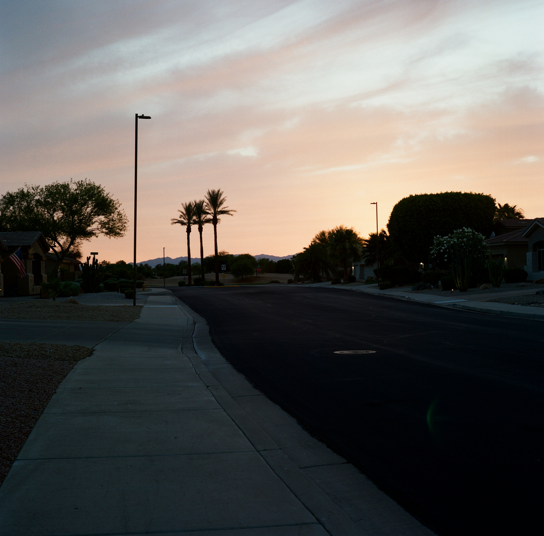 Auto-generated description: A quiet suburban street is shown during sunset with a few palm trees and houses lining the road.