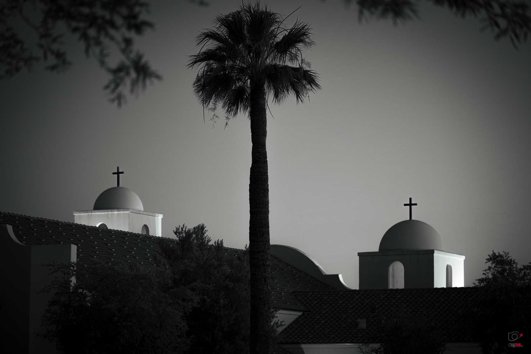 Auto-generated description: A black and white image features two church domes with crosses, framed by a central palm tree and surrounding trees.