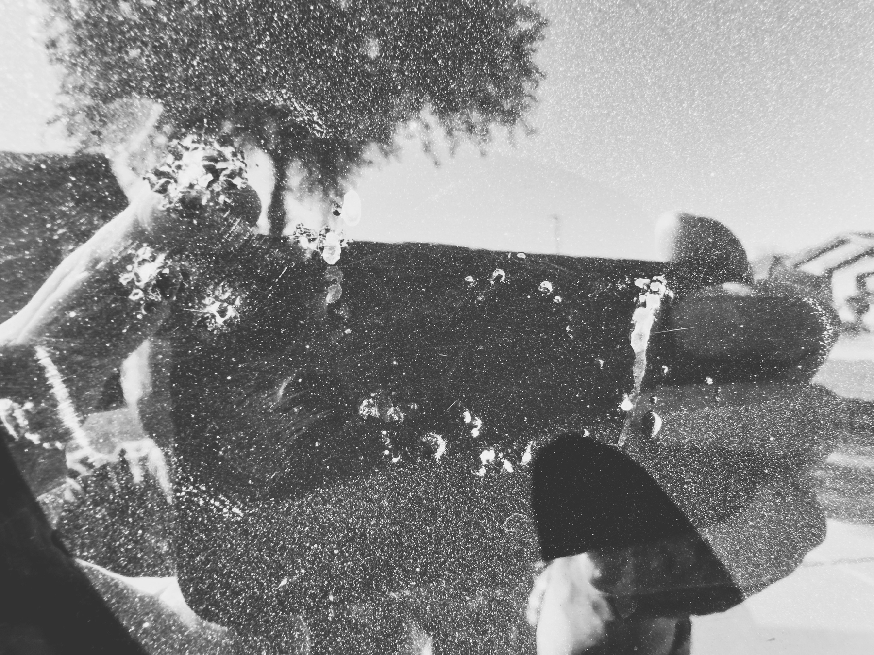 Auto-generated description: A person is reflected on a car's shiny and slightly dirty surface, with a tree and street visible in the background.