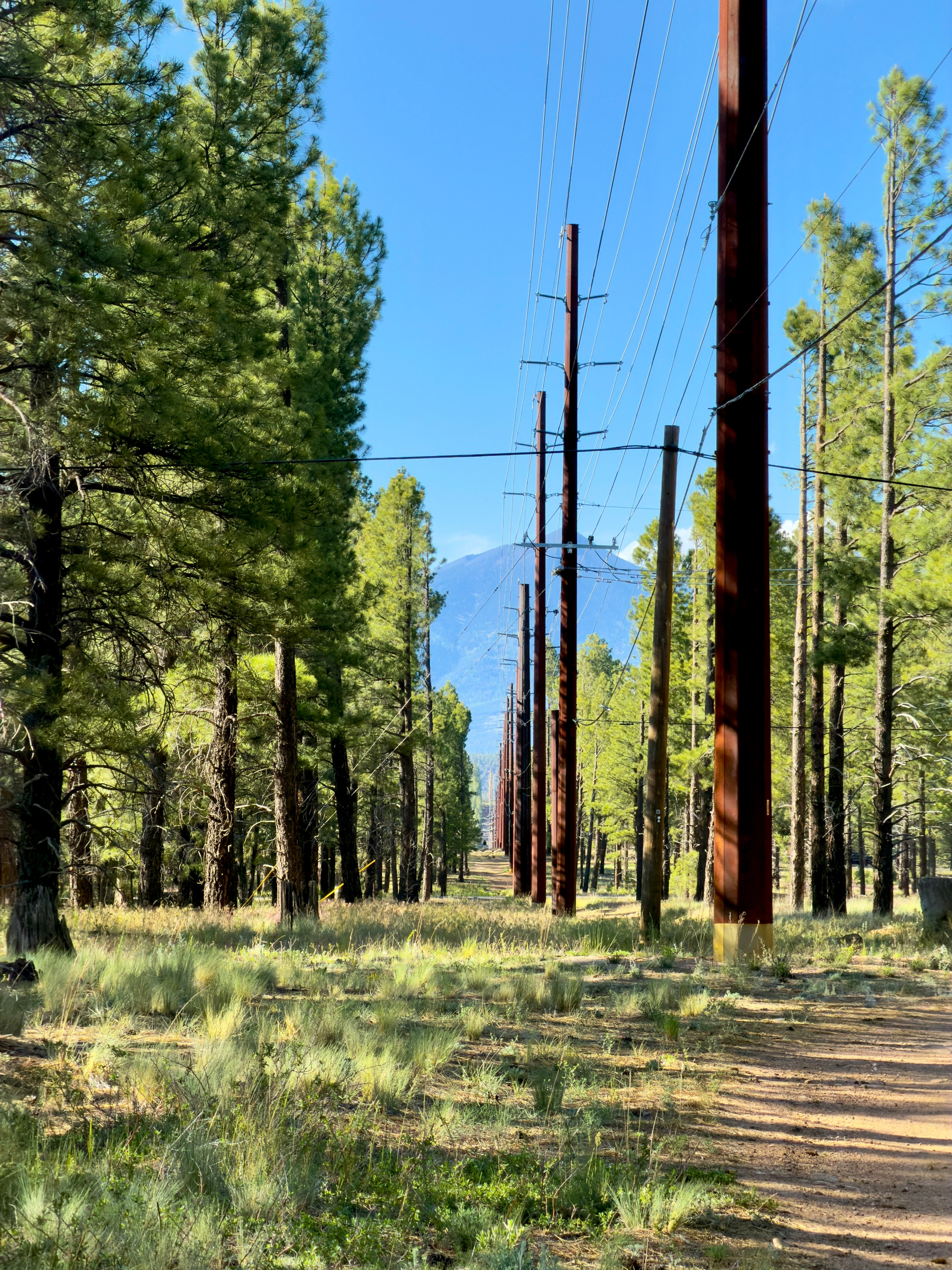 Auto-generated description: A row of tall power lines stretches through a scenic forested area under a clear blue sky.