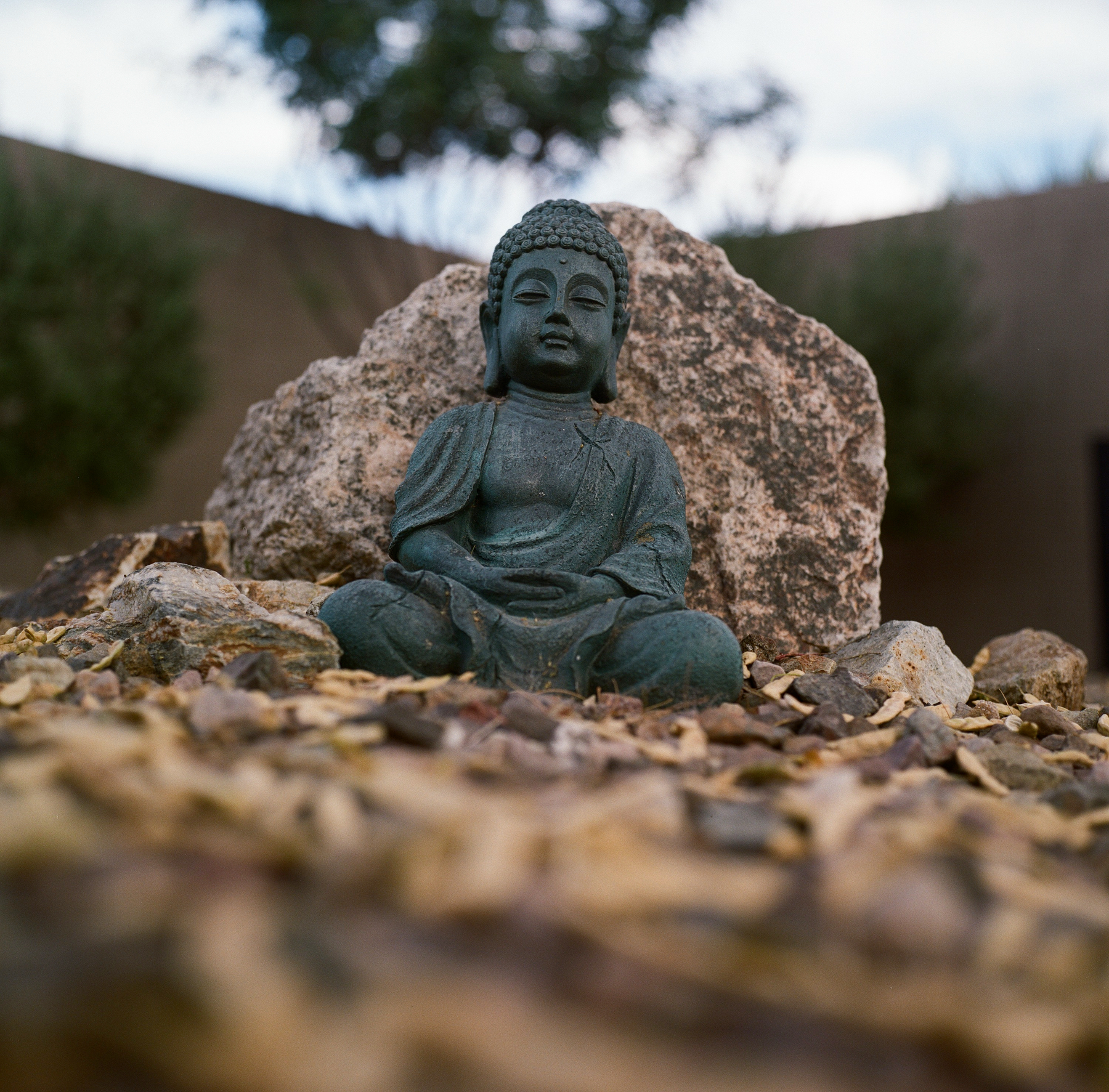 Auto-generated description: A small Buddha statue sits peacefully on rocky ground with a large rock behind it and a blurred natural background.