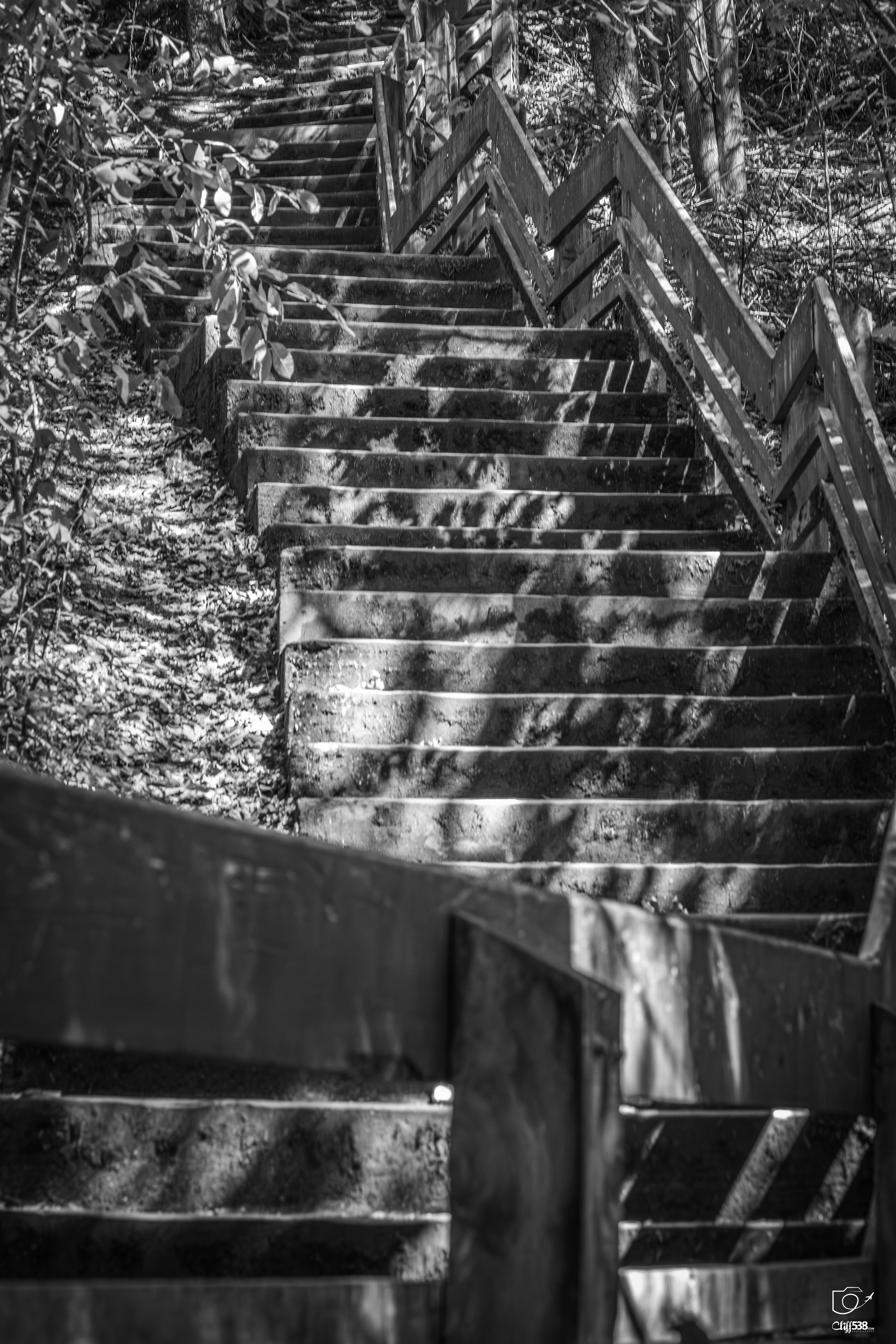 Auto-generated description: A long, outdoor wooden staircase winding upward through a wooded area is highlighted by dappled sunlight and shadows.