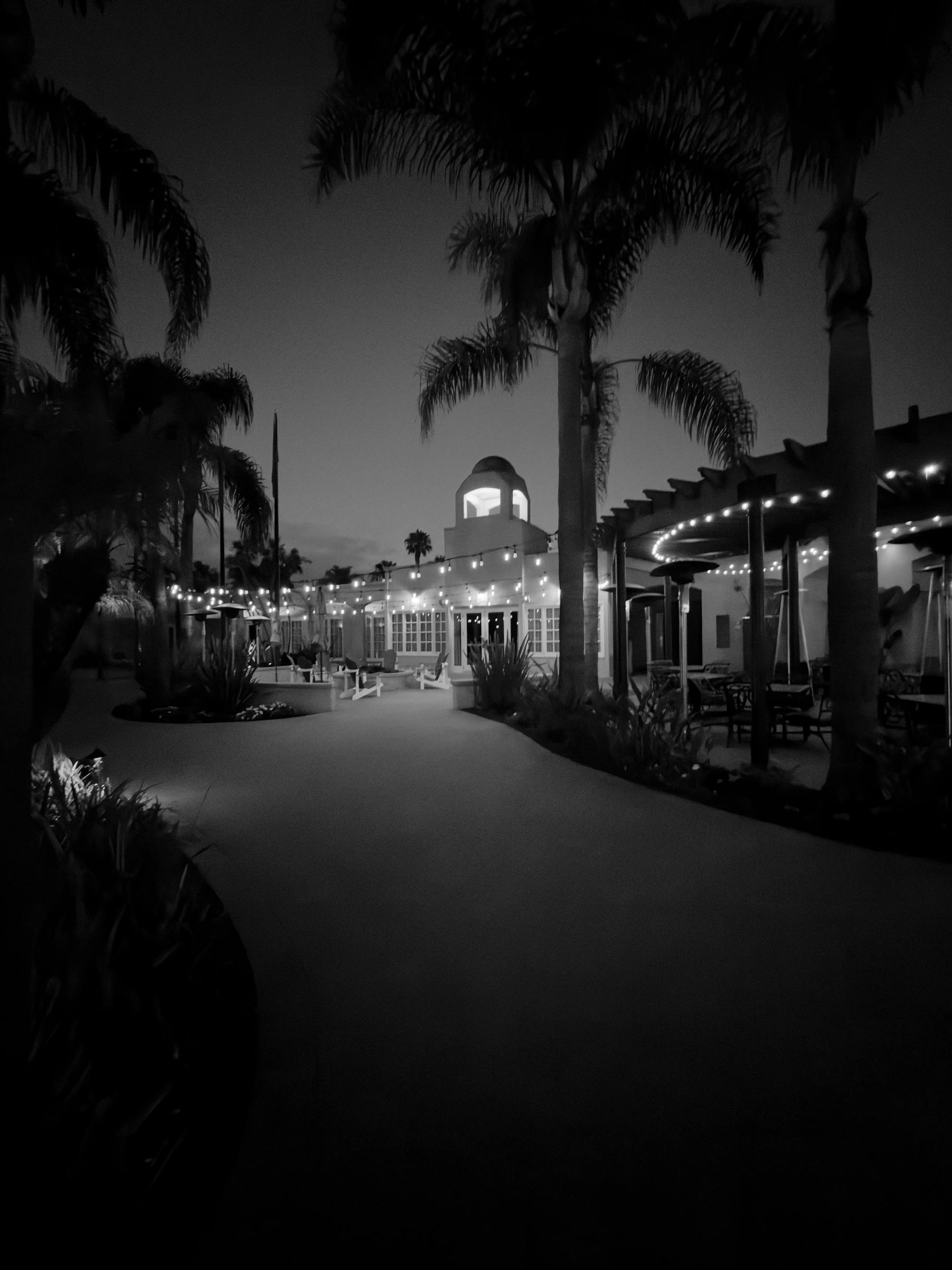 Auto-generated description: A pathway lined with palm trees and string lights leads to a building with a domed tower, illuminated softly at dusk.