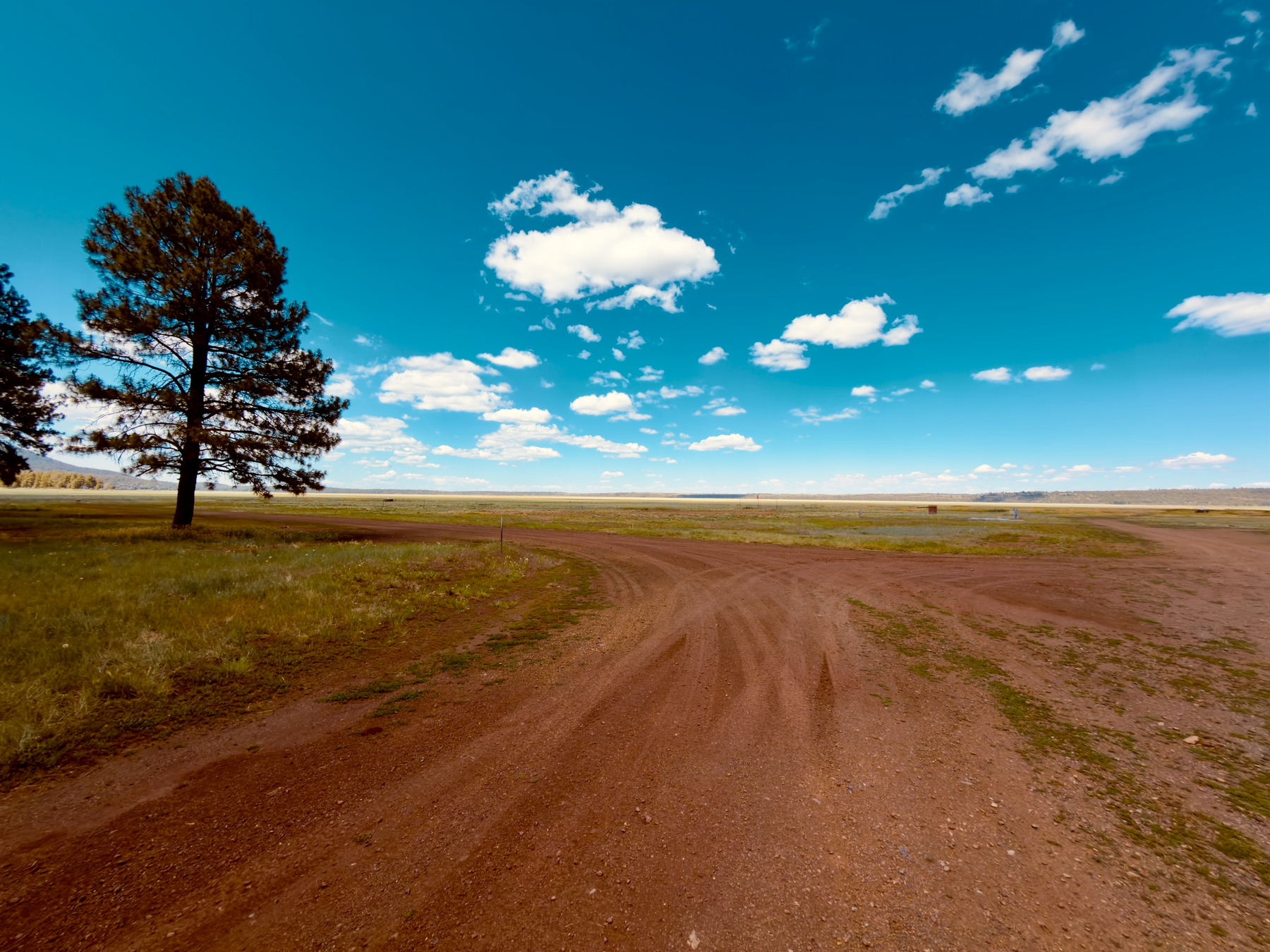 Auto-generated description: A rural landscape features a dirt road curving through open fields with a lone tree and a vast, cloudy sky above.