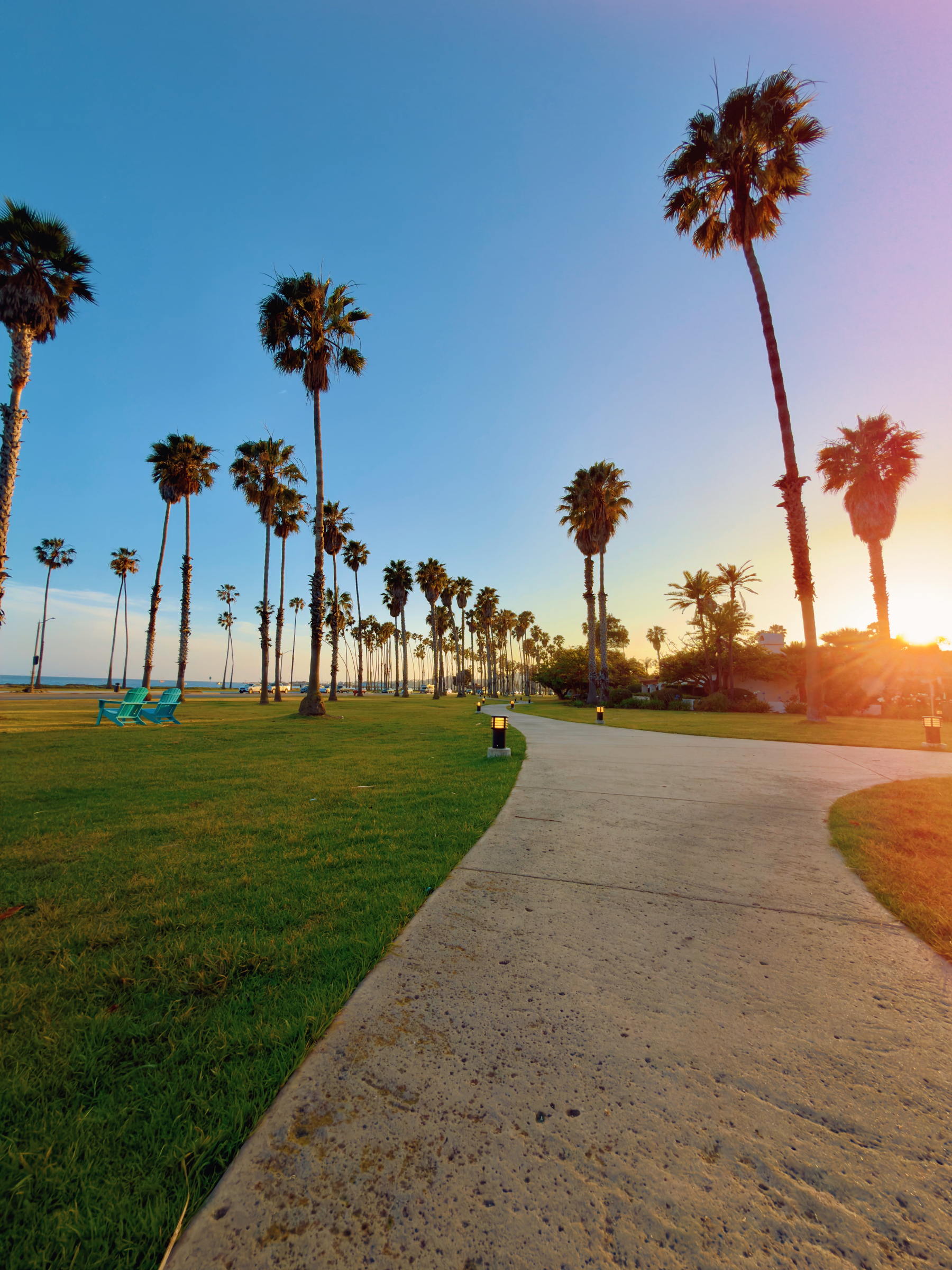 Auto-generated description: A scenic pathway lined with tall palm trees stretches towards the horizon during sunset, bordered by a lush green lawn.