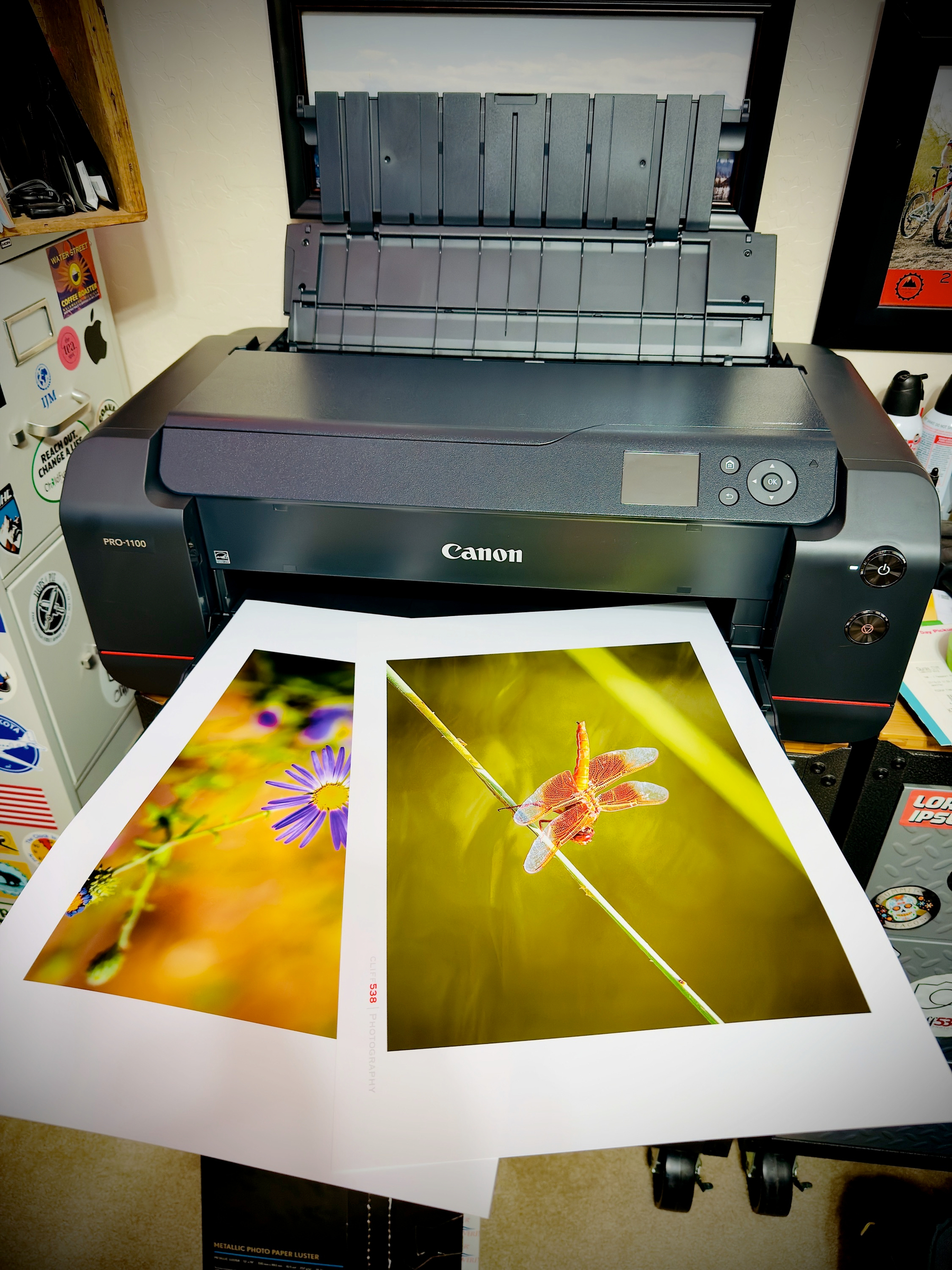 Auto-generated description: A Canon printer is printing two vibrant photos featuring a close-up of a purple flower and a dragonfly.