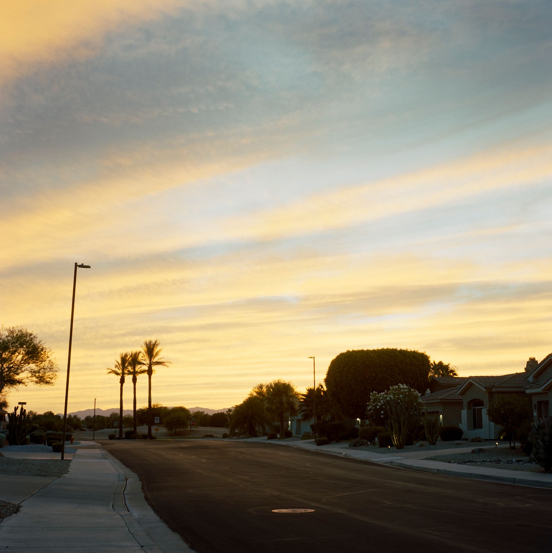 Auto-generated description: A quiet suburban street is shown during a colorful sunset with palm trees and houses lining the road.