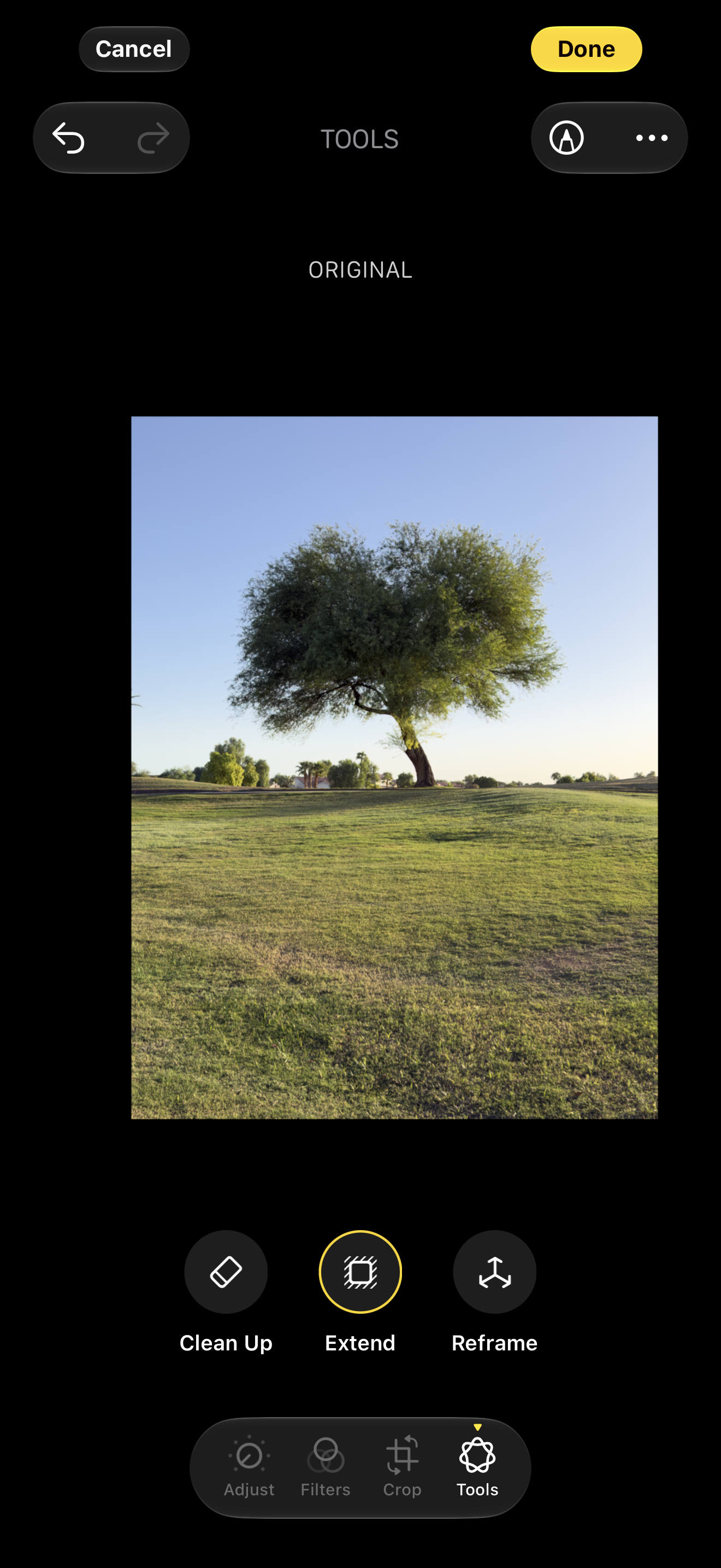 Auto-generated description: A solitary tree stands on a gently sloping grassy field under a clear blue sky at sunset or sunrise.