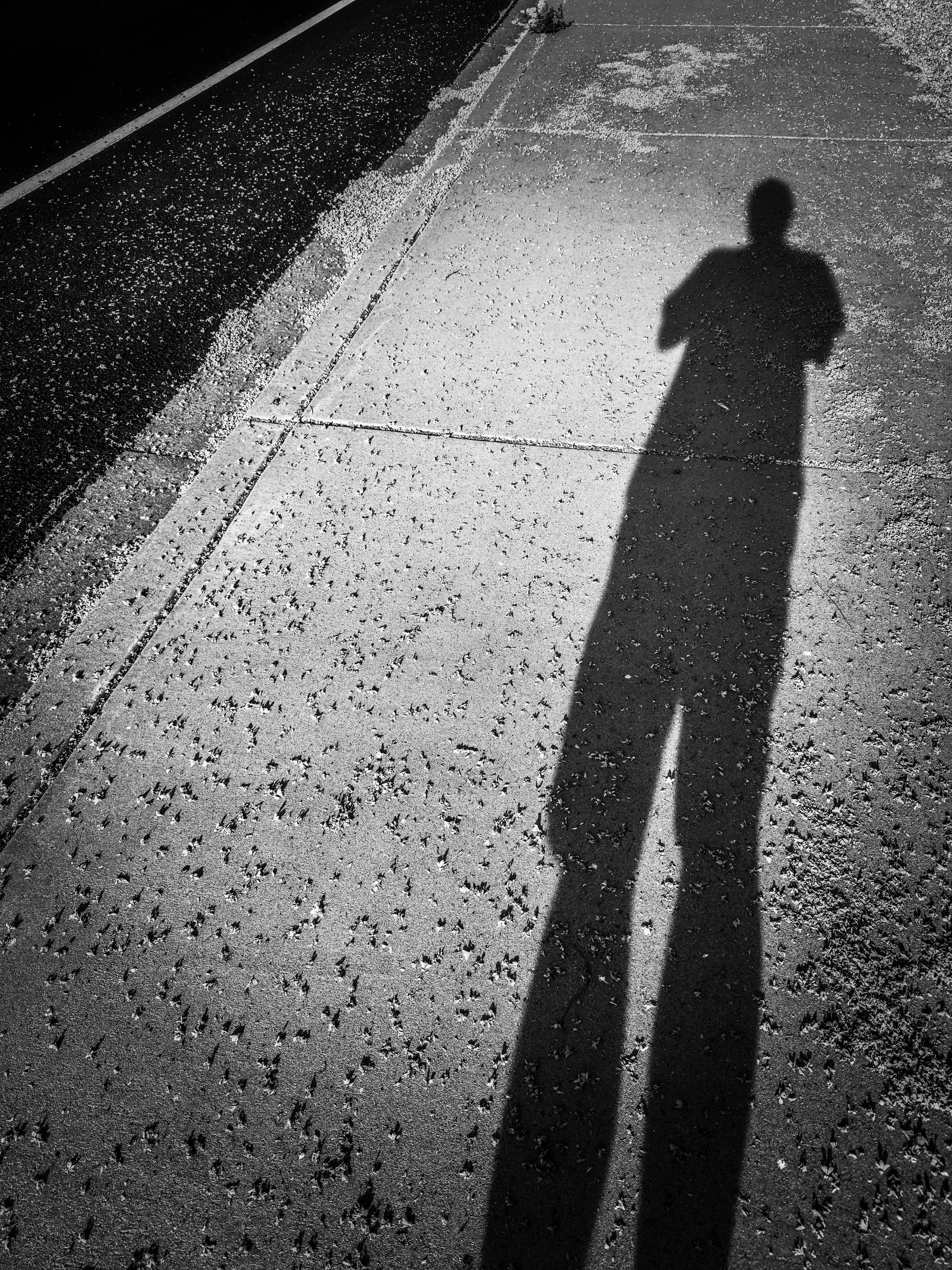 Auto-generated description: A person's shadow is cast on a sunlit sidewalk in a black-and-white setting.