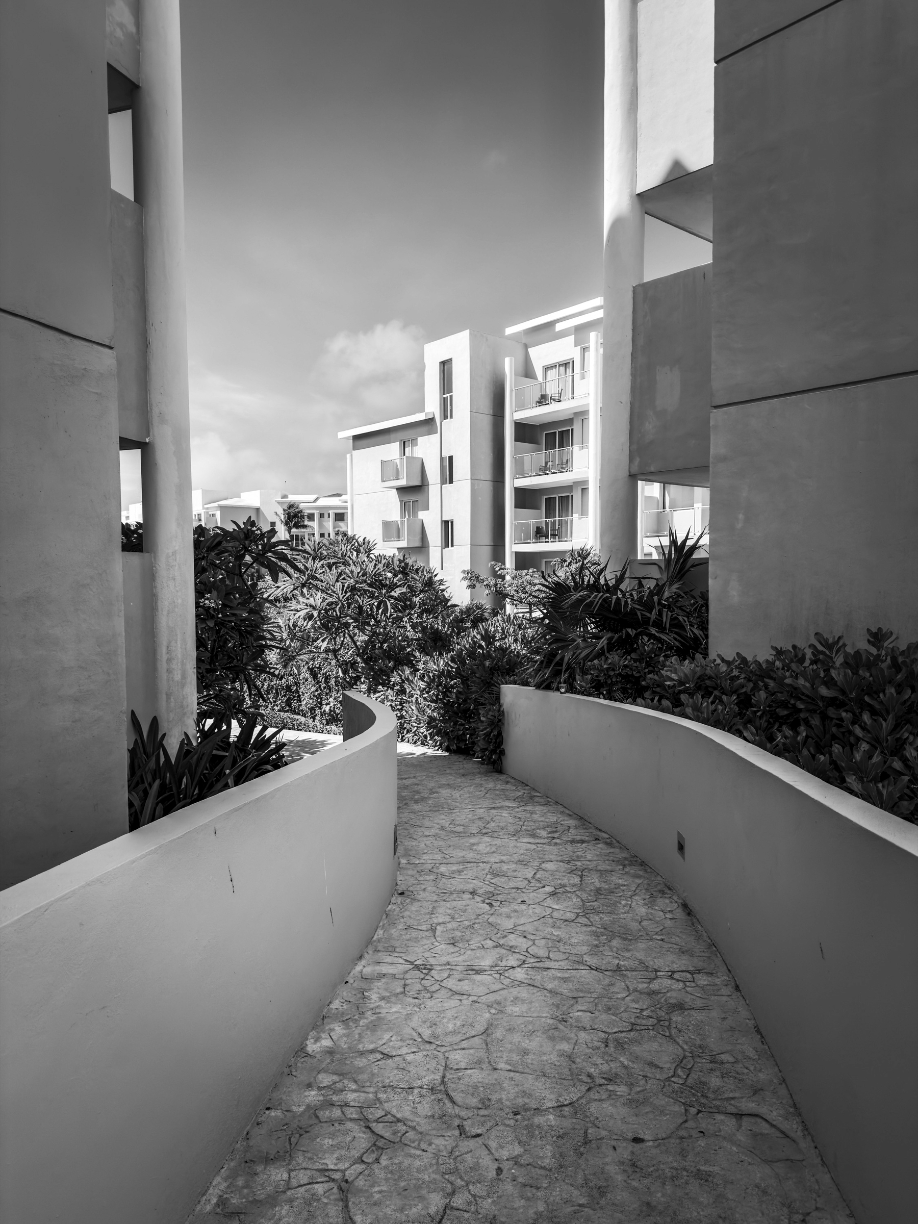 Auto-generated description: A stone walkway curves between modern buildings and lush greenery under a clear sky.