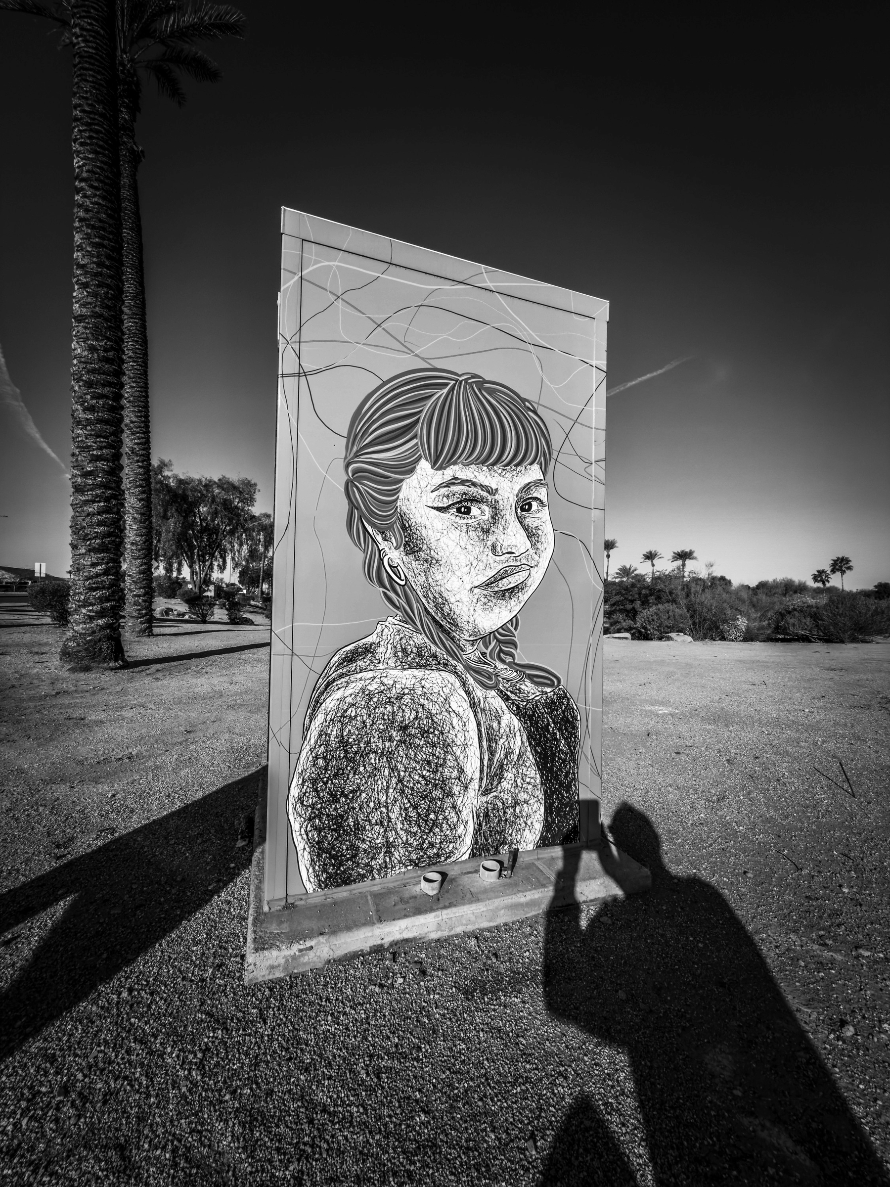 Auto-generated description: A monochrome mural on a street cabinet features a detailed portrait of a person with stylized line work, set against a desert landscape backdrop with palm trees.