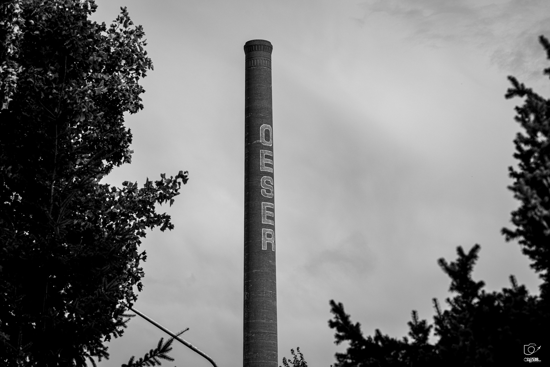 Auto-generated description: A tall brick smokestack with the word DESER painted vertically stands against a cloudy sky, framed by tree branches.