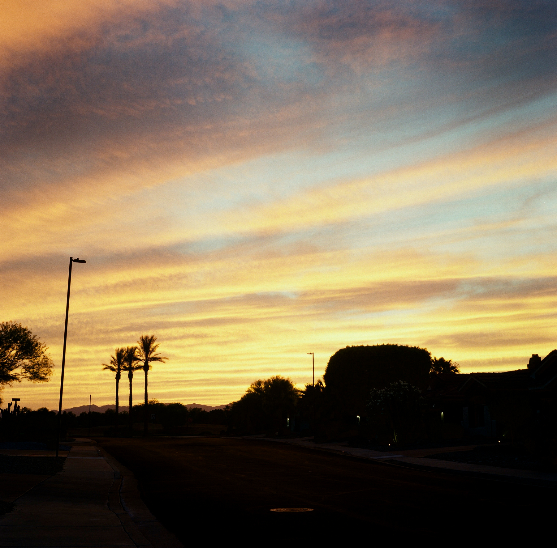 Auto-generated description: A peaceful suburban street is shown at sunset with silhouetted palm trees and bushes against a colorful sky.