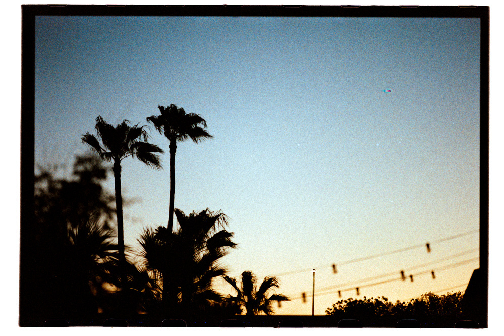 Silhouetted palm trees stand against a clear sky at sunset, with some power lines visible in the background.