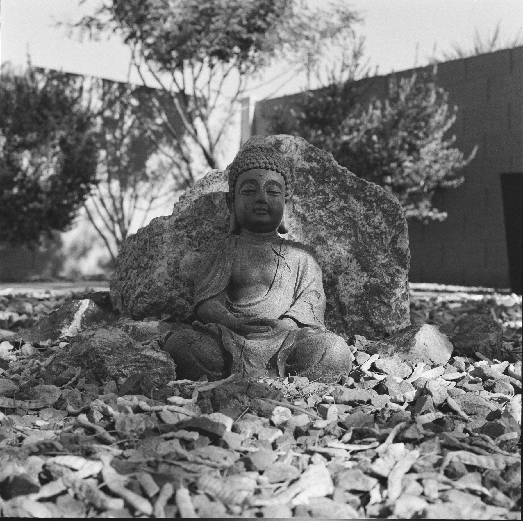Auto-generated description: A serene Buddha statue is placed outdoors among rocks and pebbles, with trees and a brick wall in the background.