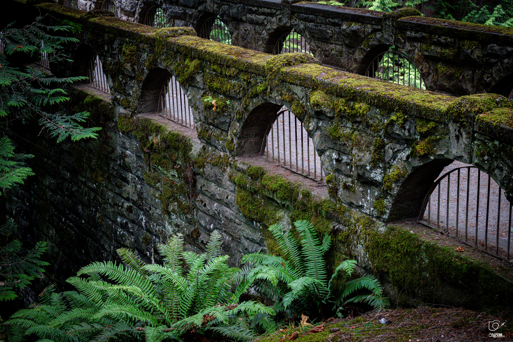 Auto-generated description: An old stone bridge covered in moss stretches over a lush area filled with green ferns and dense foliage.