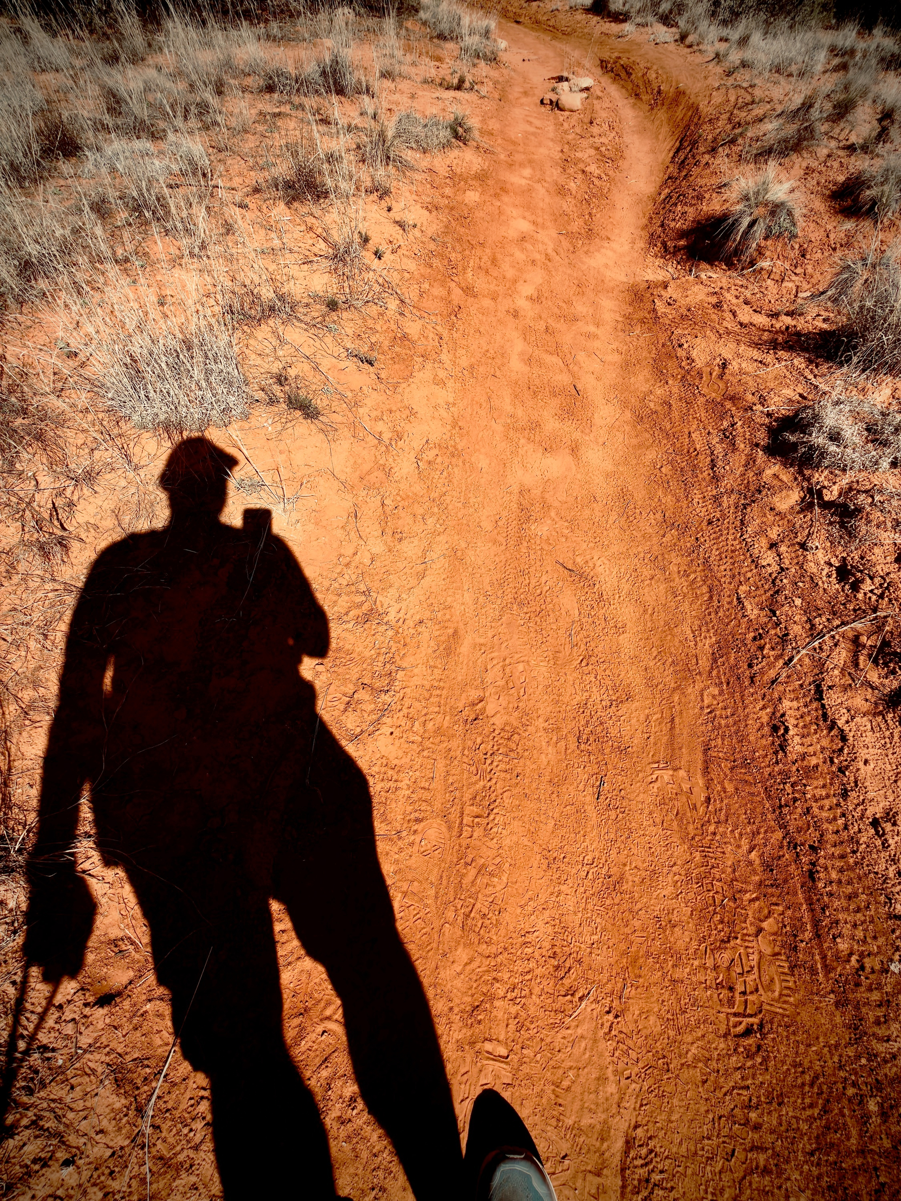 Auto-generated description: A shadow of a person holding a walking stick is cast on a red dirt path surrounded by dry grass.