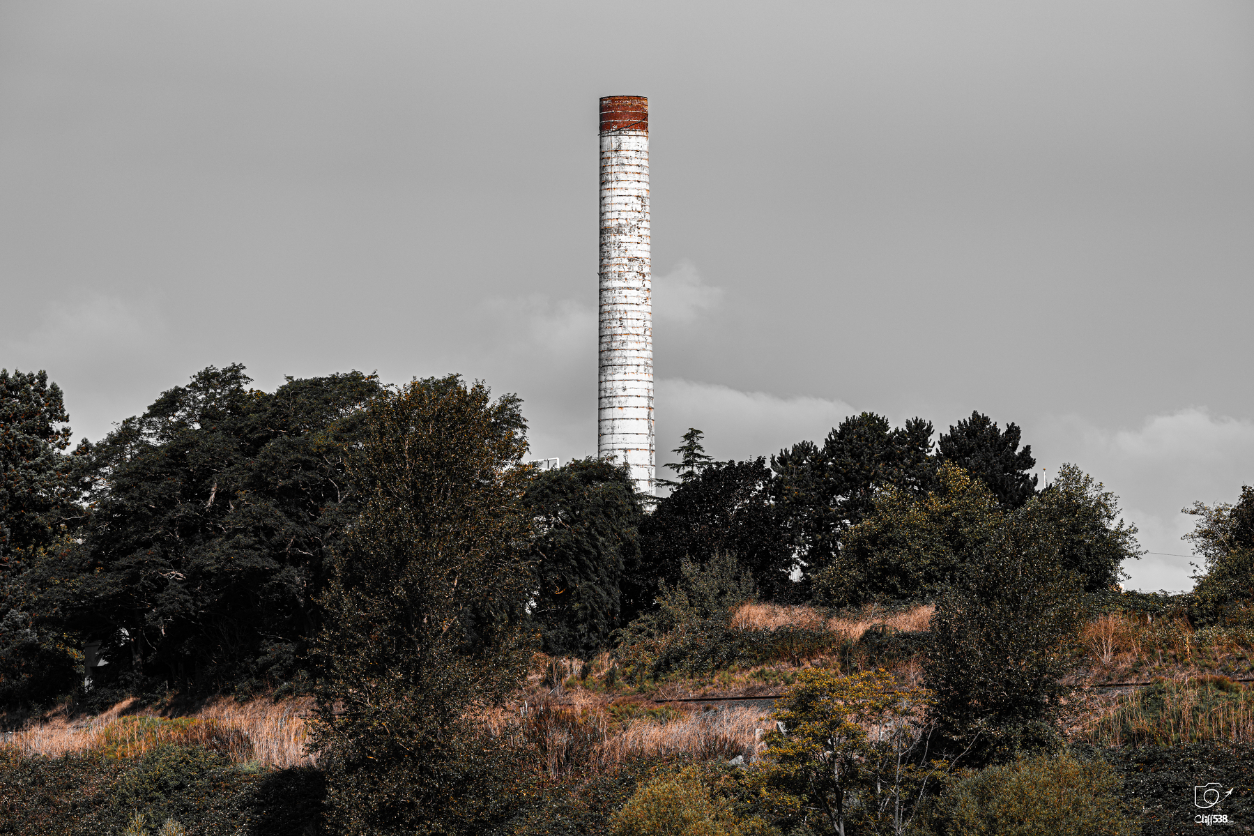 Auto-generated description: A tall, white, cylindrical smokestack rises above a wooded and grassy area under a cloudy sky.