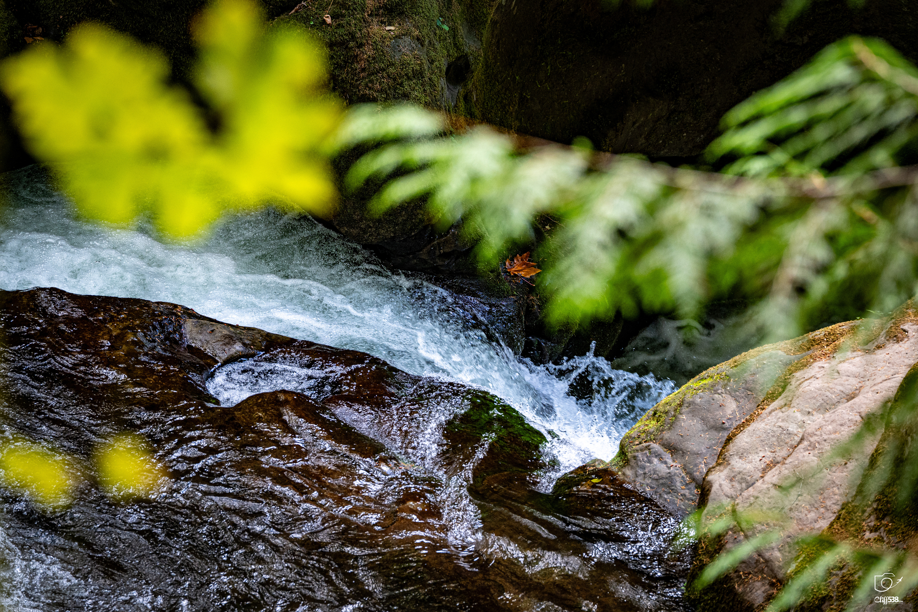 Auto-generated description: A flowing stream cascades over rocks surrounded by green foliage in a natural setting.