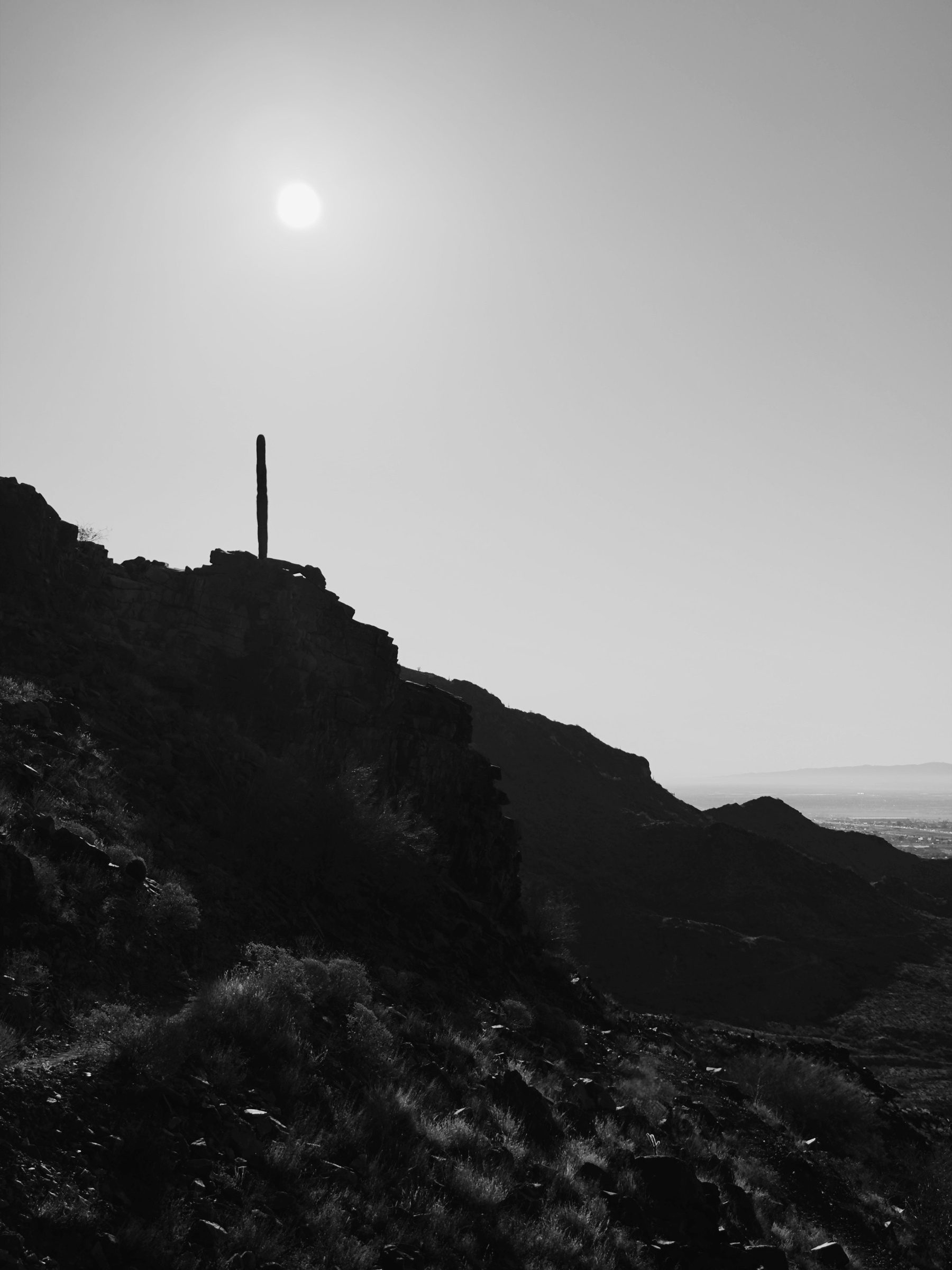 Auto-generated description: A solitary cactus stands on a rugged hill beneath a bright sun in a stark desert landscape.