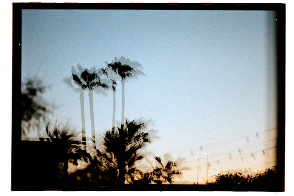 Palm trees are silhouetted against a soft gradient sky during sunset, creating a serene and slightly blurred effect.