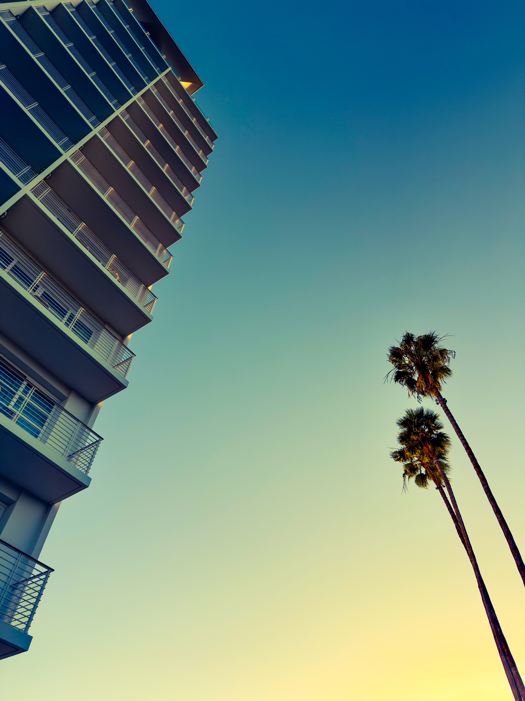 Auto-generated description: A modern building with balconies is angled against a sunset sky, alongside two tall palm trees.