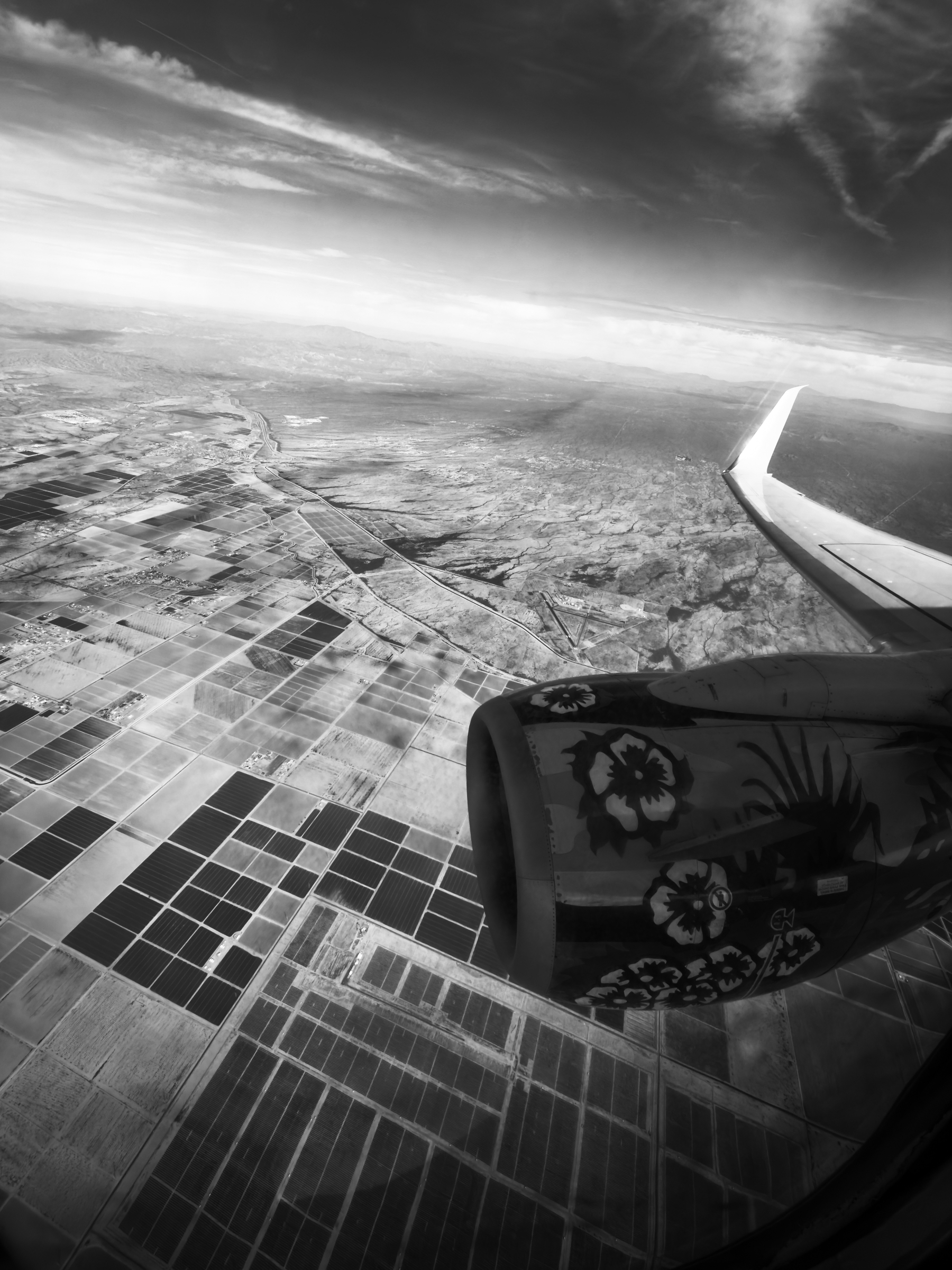 Auto-generated description: An airplane wing and engine with floral designs are visible over a patchwork of farmlands and a winding river below.