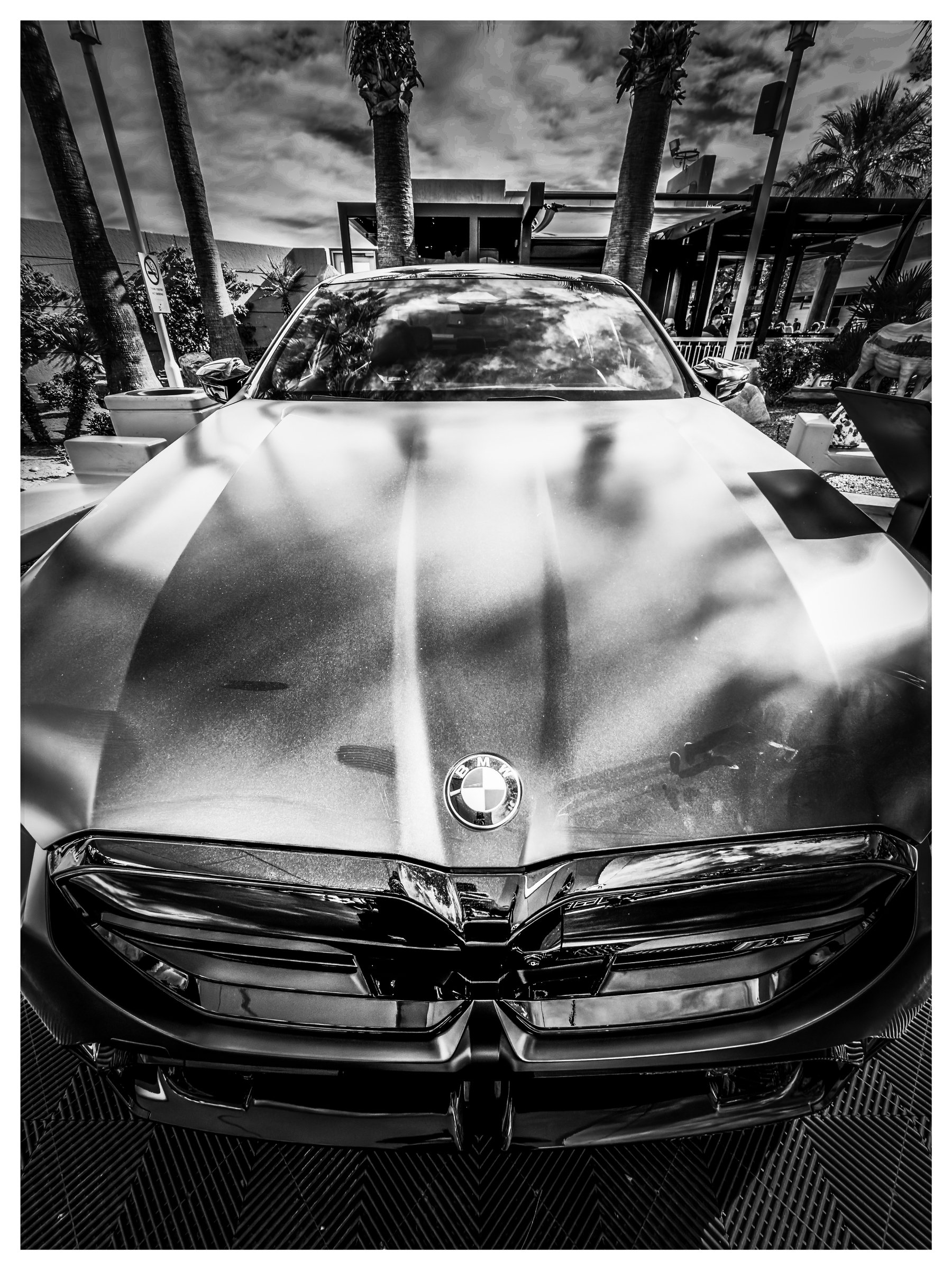 Auto-generated description: A sleek BMW car is parked outdoors, surrounded by palm trees and buildings, captured in dramatic black and white.