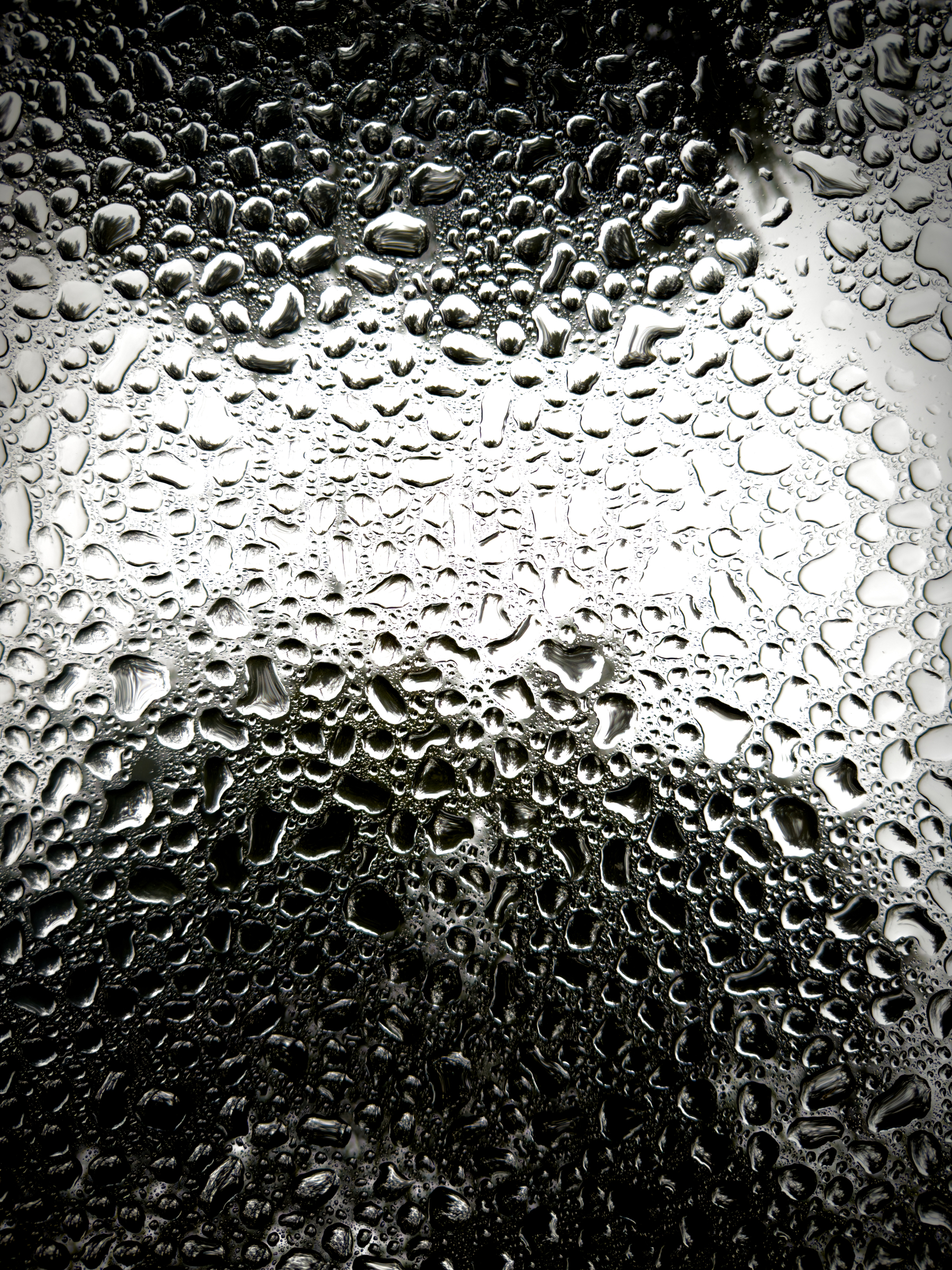 Auto-generated description: Numerous water droplets are scattered across a dark surface with a bright light shining through from behind.