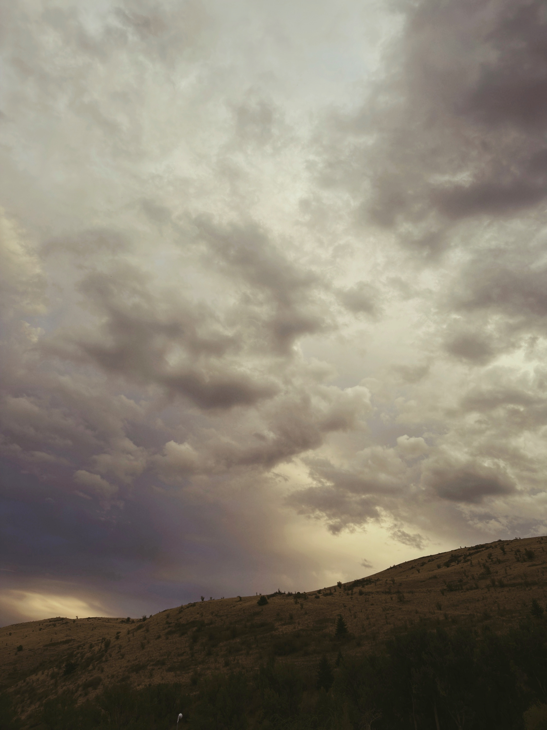 Auto-generated description: Cloudy skies stretch over a gently sloping hill dotted with sparse vegetation.