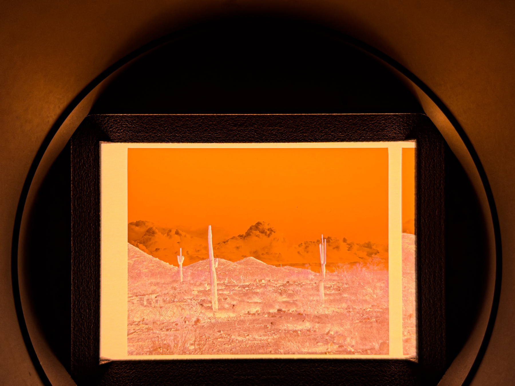 Auto-generated description: A photograph slide showing a desert landscape with cacti and mountains, viewed through a circular slide viewer.