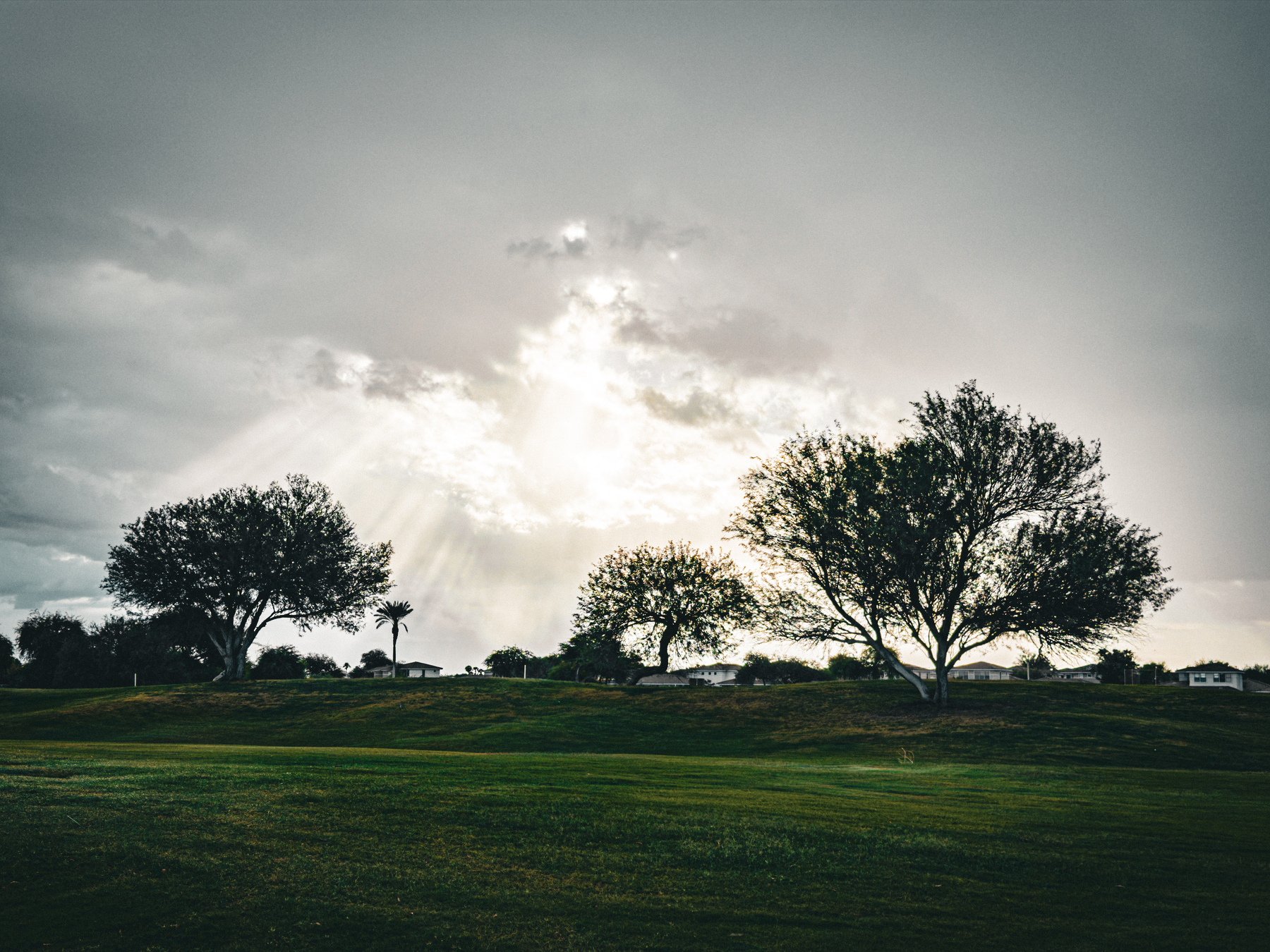 Auto-generated description: Sunlight breaks through cloudy skies above a grassy field dotted with several trees.