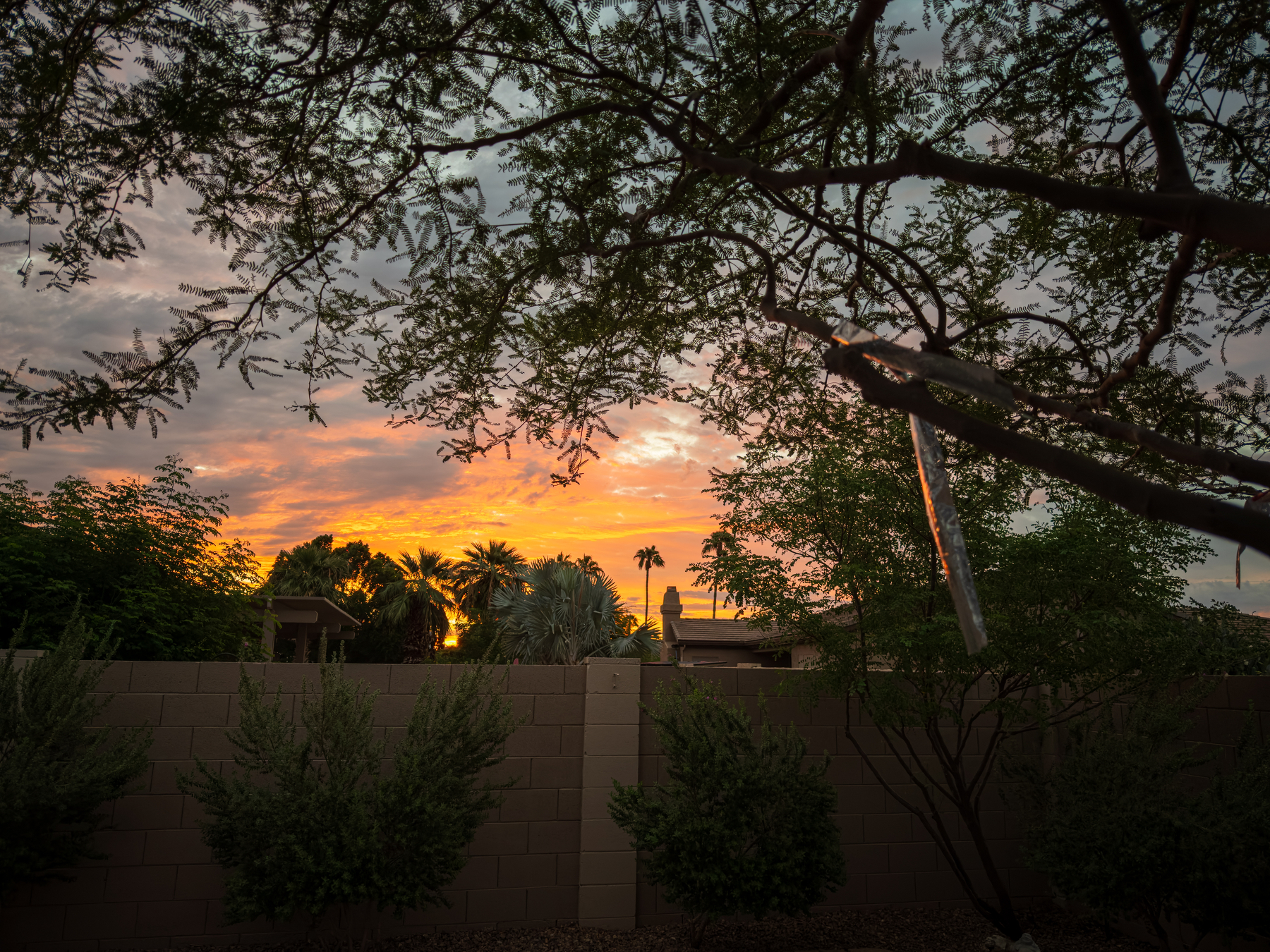 Auto-generated description: A sunset with colorful clouds is viewed over a backyard featuring a brick wall, various trees, and a hanging wind chime.