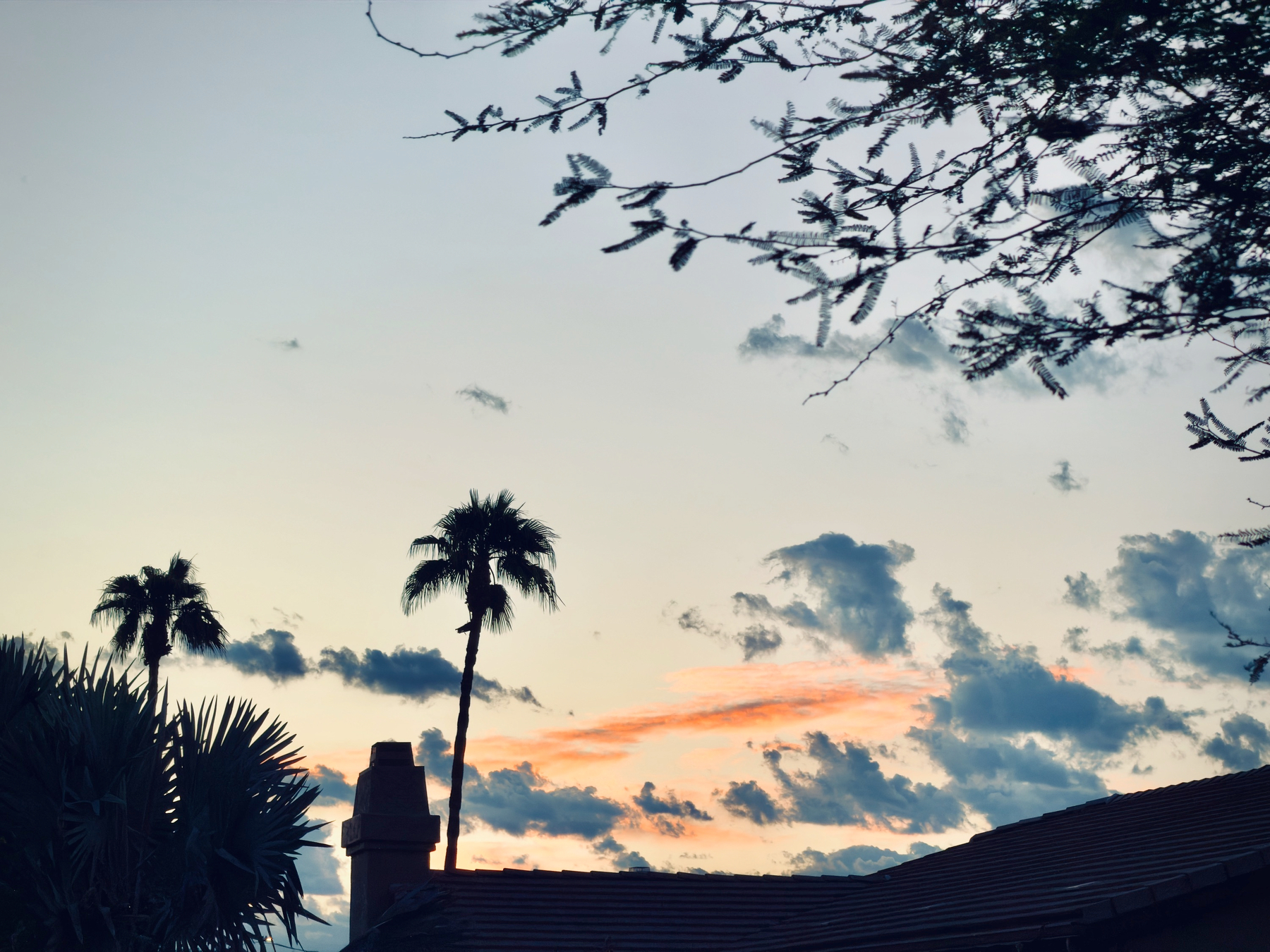 Auto-generated description: A peaceful sunset with palm trees silhouetted against a colorful sky with scattered clouds.