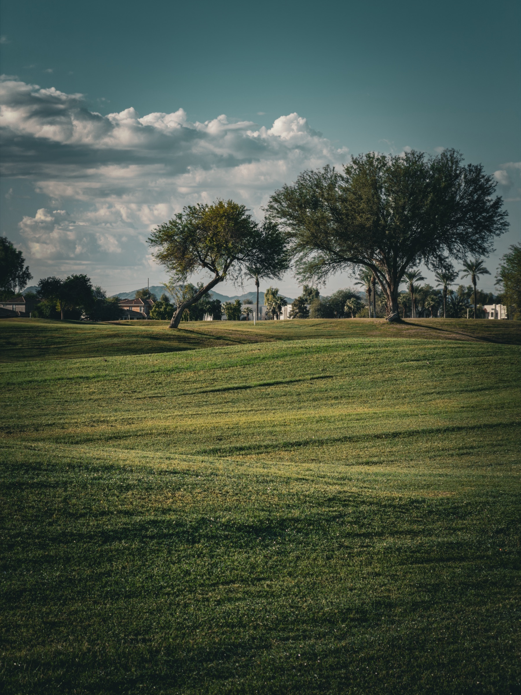 Auto-generated description: A serene, green landscape features gently rolling grassy hills with scattered trees under a partly cloudy sky.