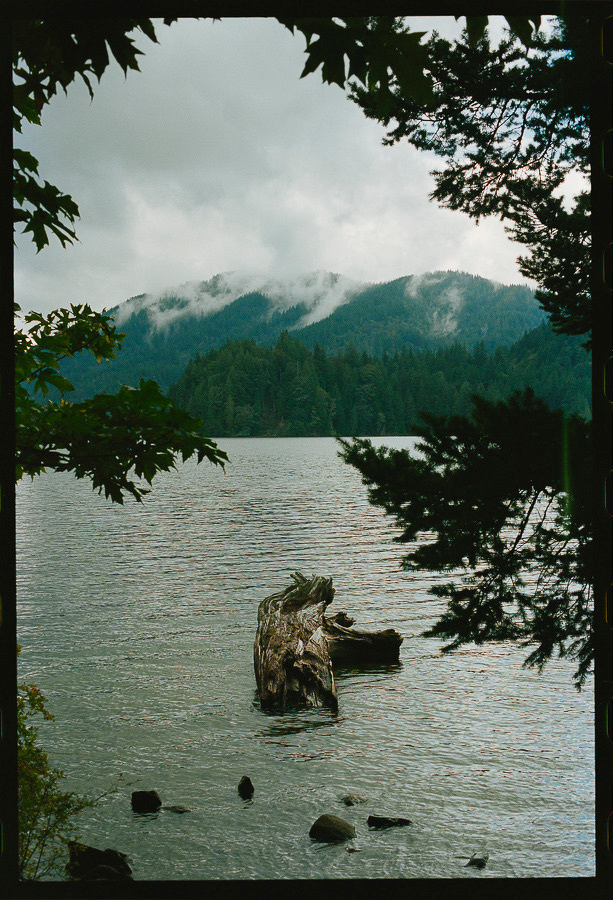 Auto-generated description: A peaceful lake scene is framed by tree branches with a partially submerged log in the water and mist-covered forested mountains in the background.