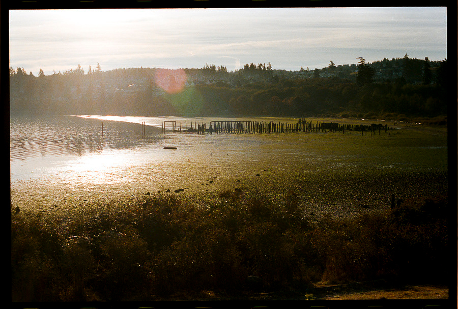 Auto-generated description: A serene lakeside scene at sunset features calm water, wooden posts emerging from the lake, and a wooded shoreline in the background.