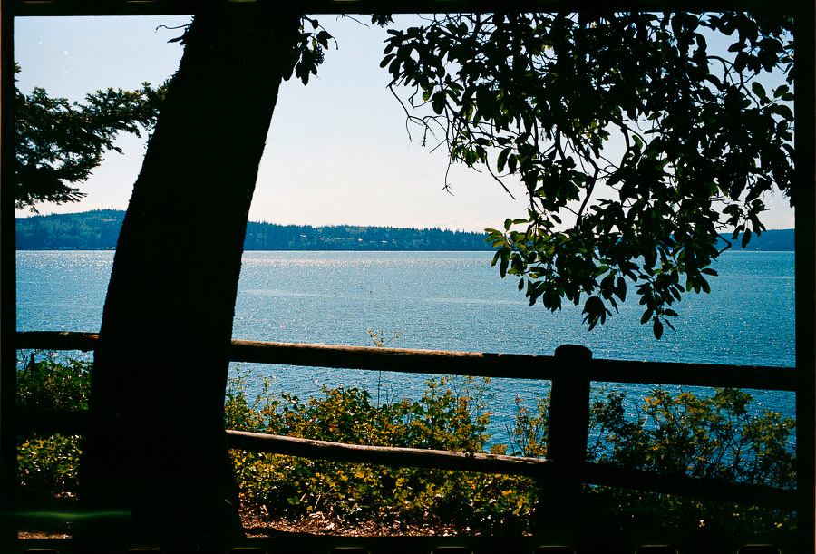 Auto-generated description: A tranquil lake is viewed through the silhouette of tree branches and a wooden fence.