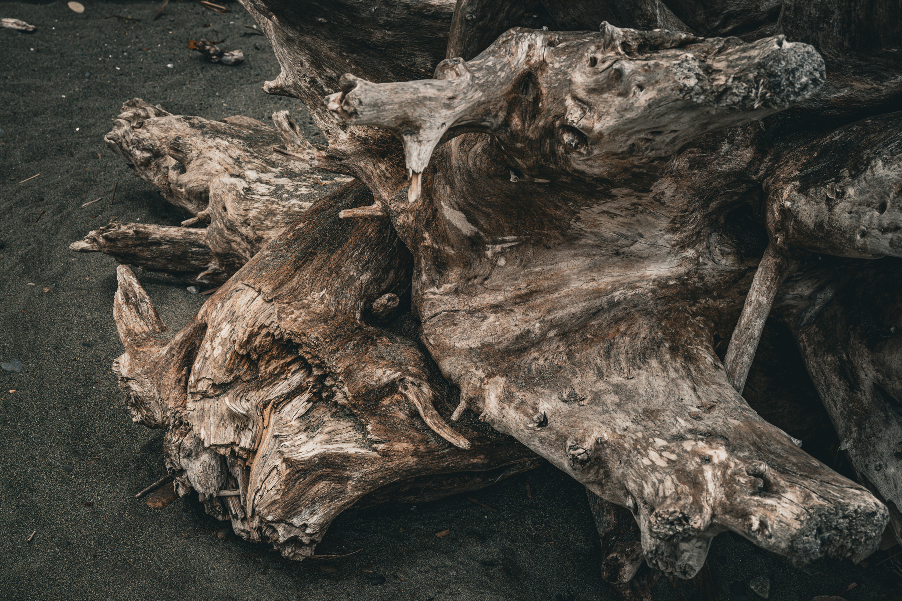 Auto-generated description: A large, weathered piece of driftwood rests on a dark sandy surface.