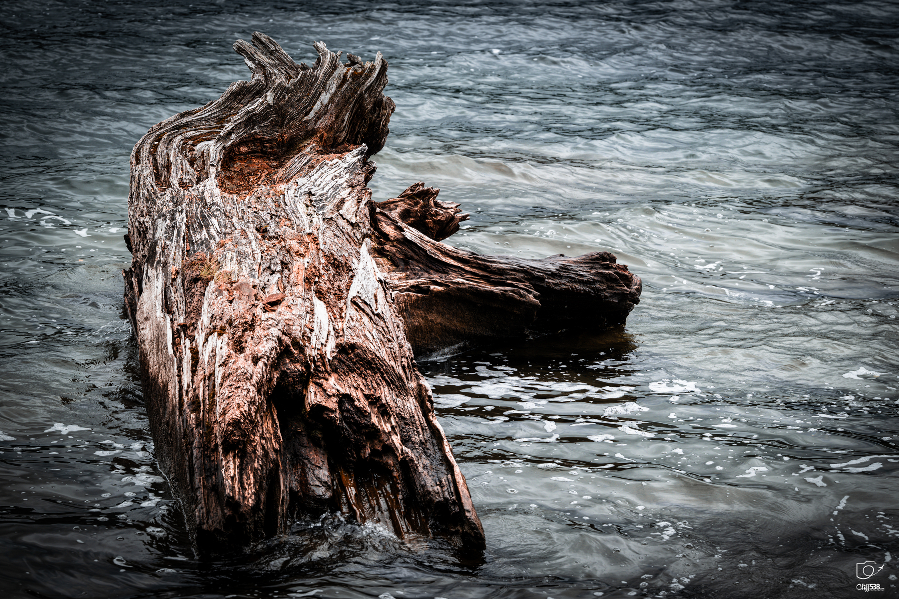 Auto-generated description: A large, weathered piece of driftwood partially submerged in gently rippling water.