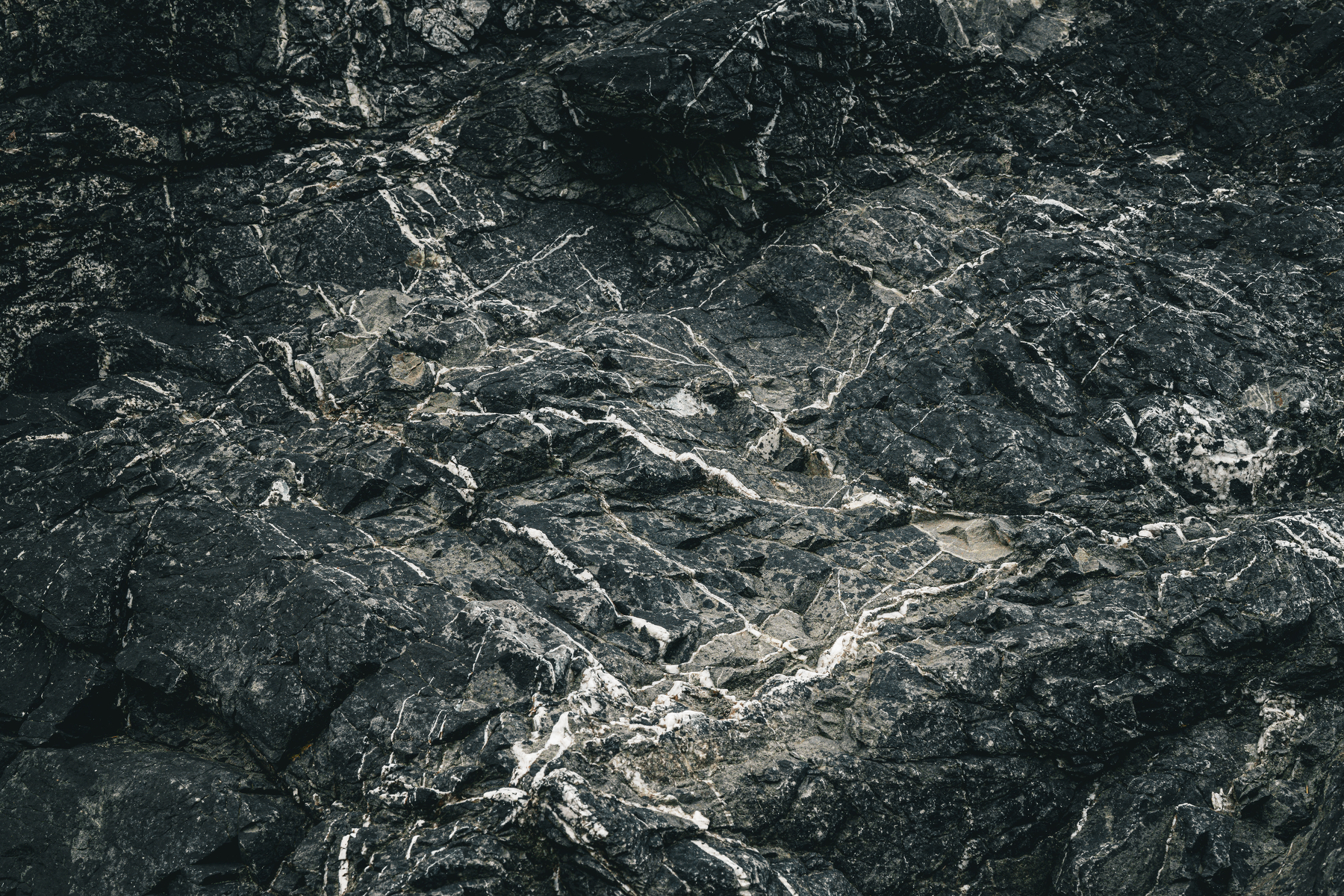 Auto-generated description: A close-up view of dark, textured rock with white mineral veins running through it.