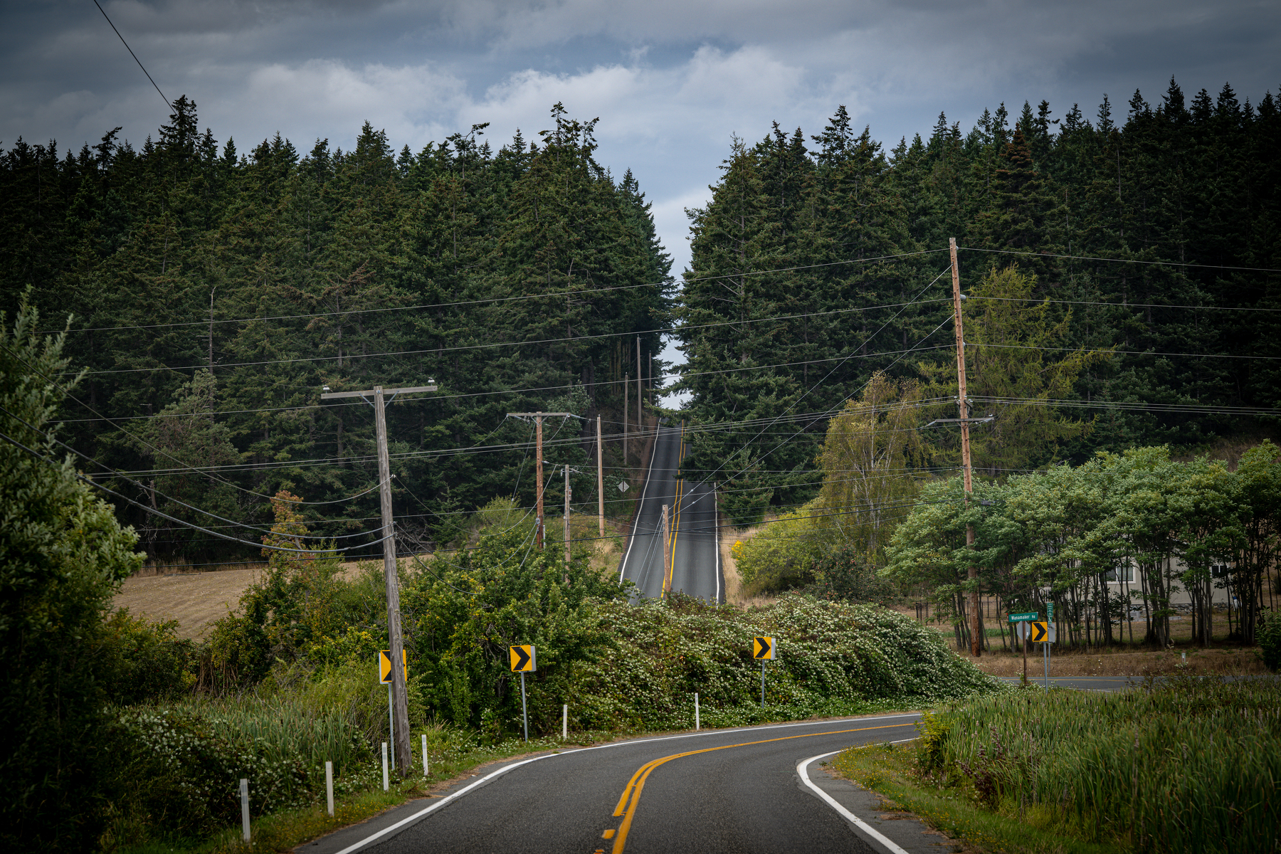 Auto-generated description: A winding road leads toward a dense forest under a cloudy sky, with utility poles and road signs along the way.