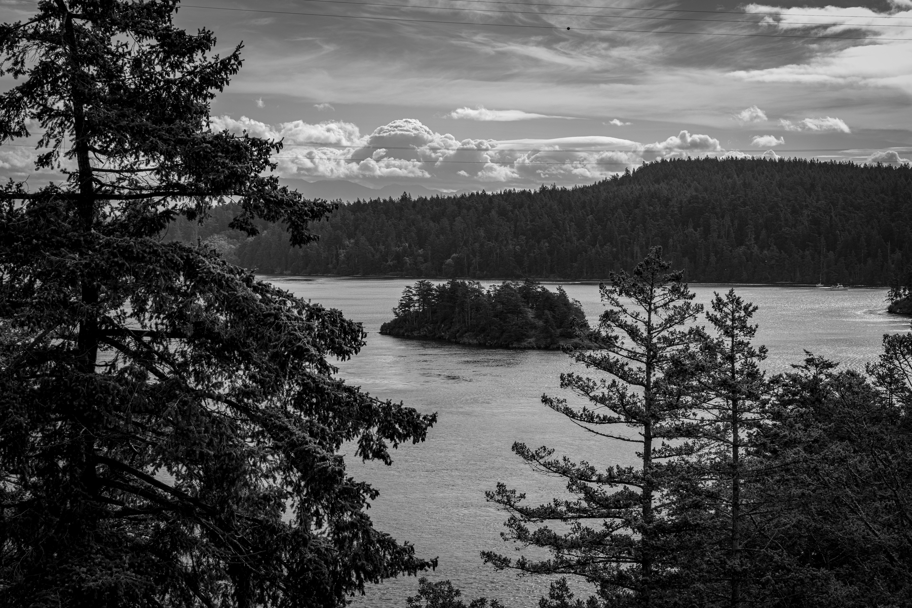 Auto-generated description: A calm body of water surrounded by forested hills and framed by tall trees in the foreground under a partly cloudy sky.