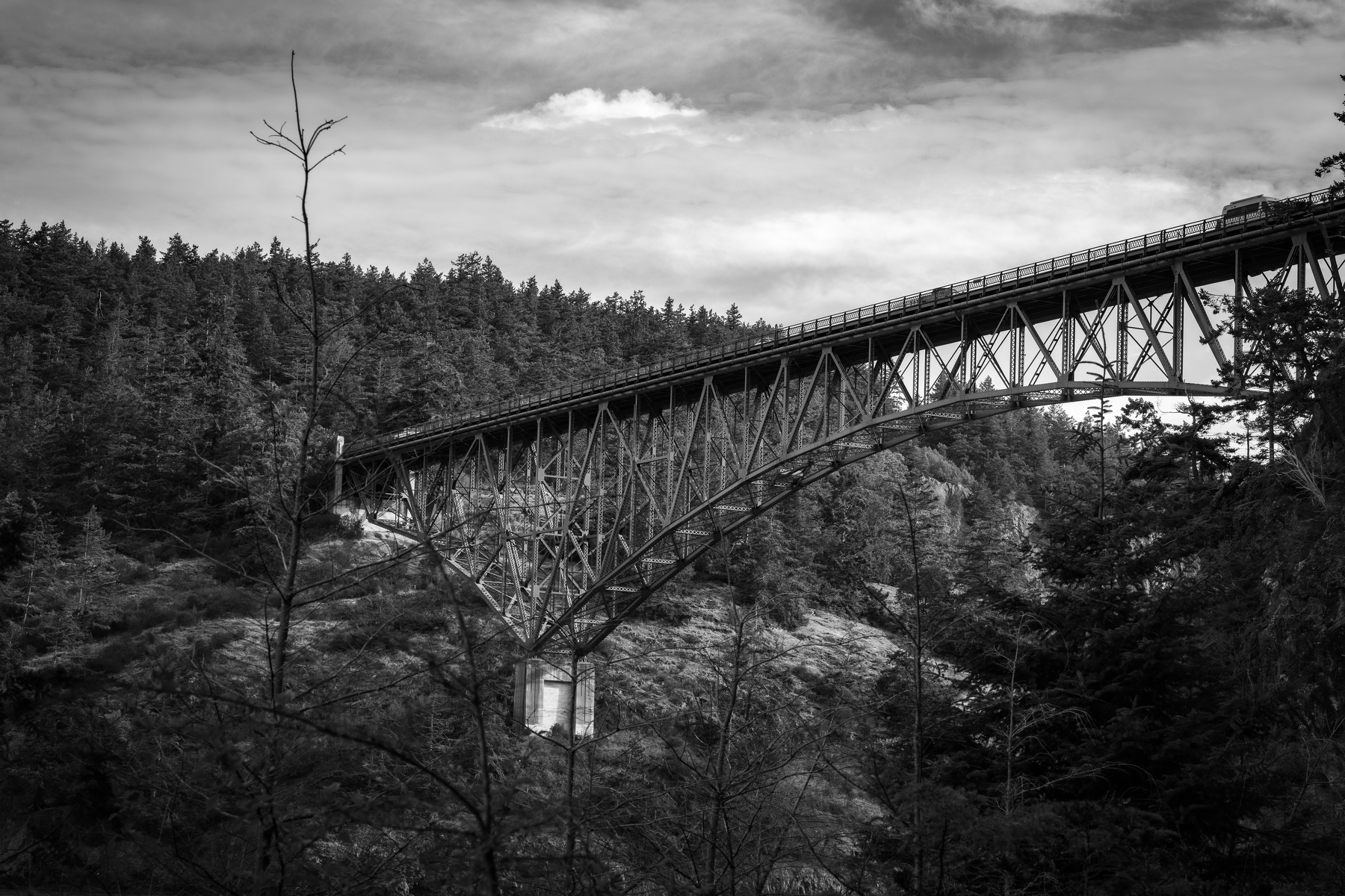 Auto-generated description: A large steel bridge spans across a deep forested valley under a cloudy sky.
