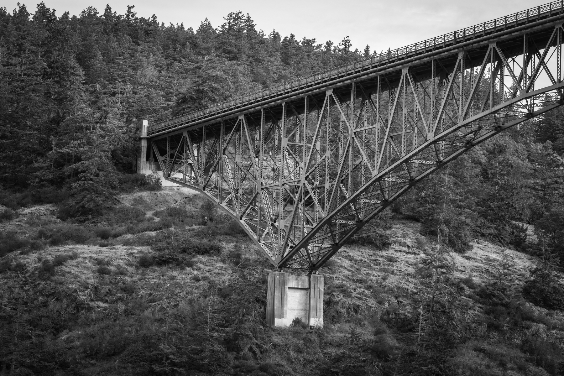 Auto-generated description: A large steel bridge with an intricate truss design spans across a forested, mountainous area.