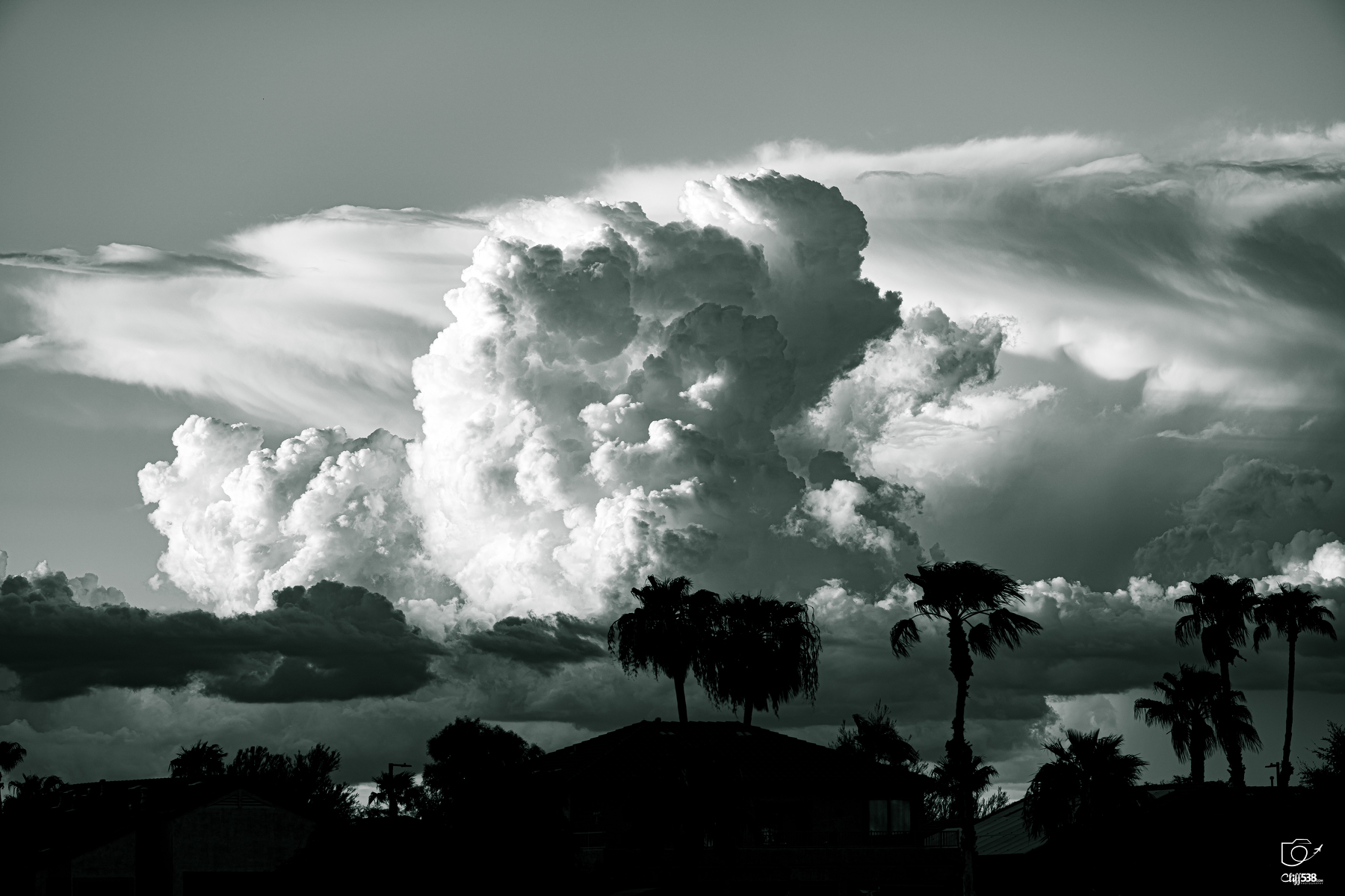 Auto-generated description: A dramatic sky filled with large, billowing clouds looms over silhouetted palm trees and buildings.