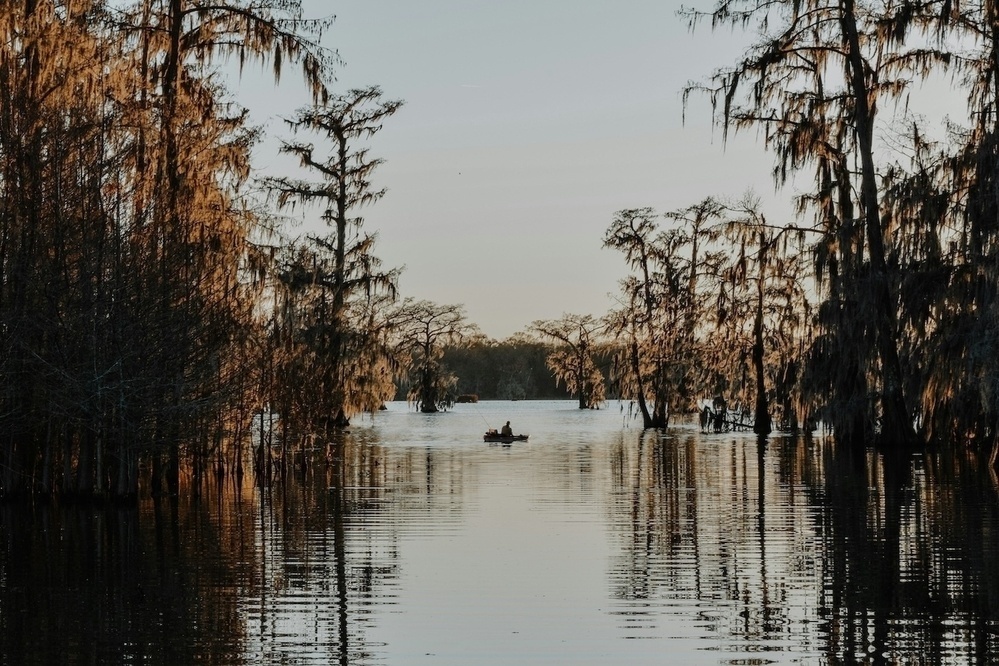 A tranquil river scene features a small boat floating between trees draped in Spanish moss under a clear sky.