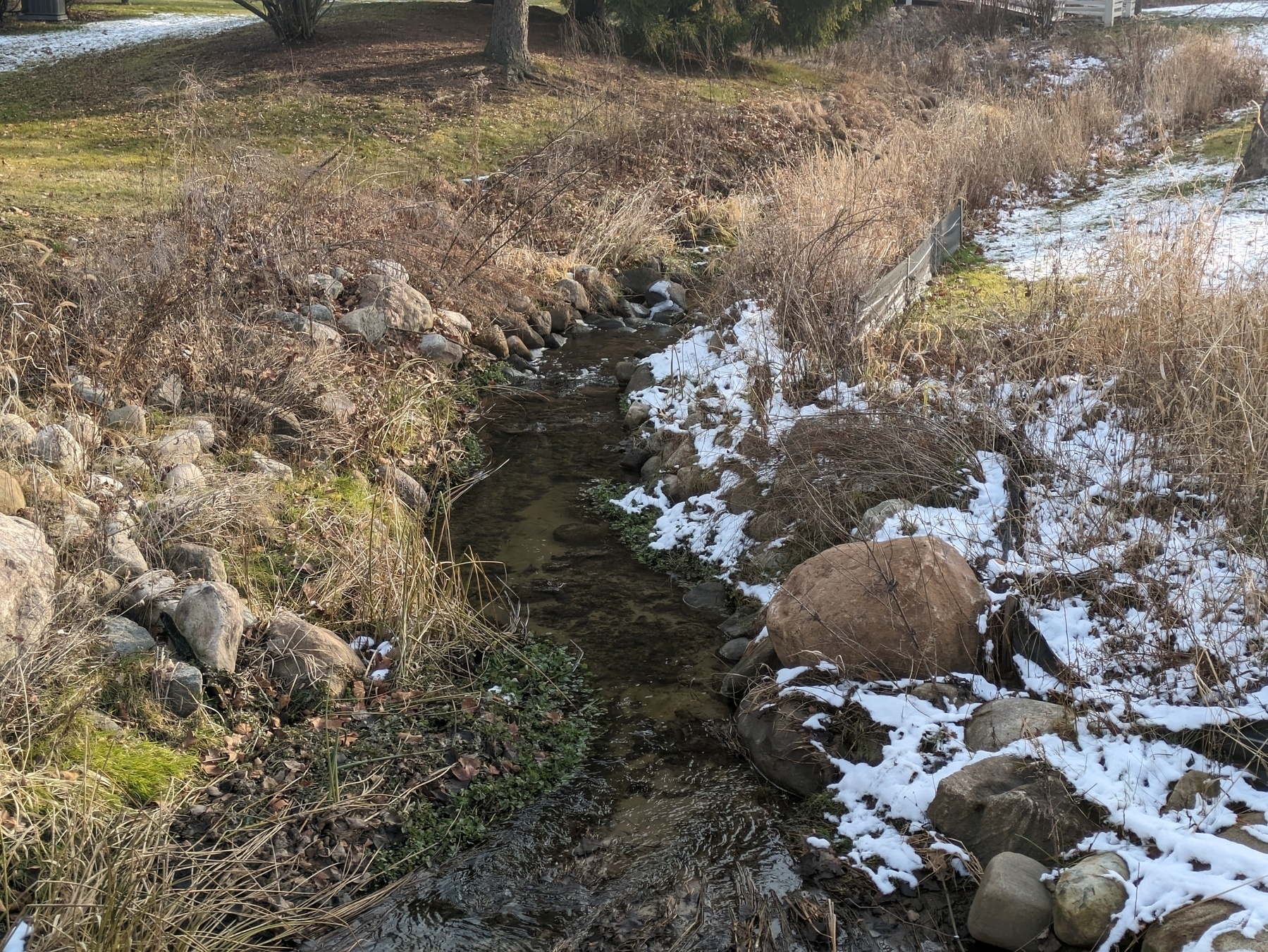 Creek with dry grass and some snow. 