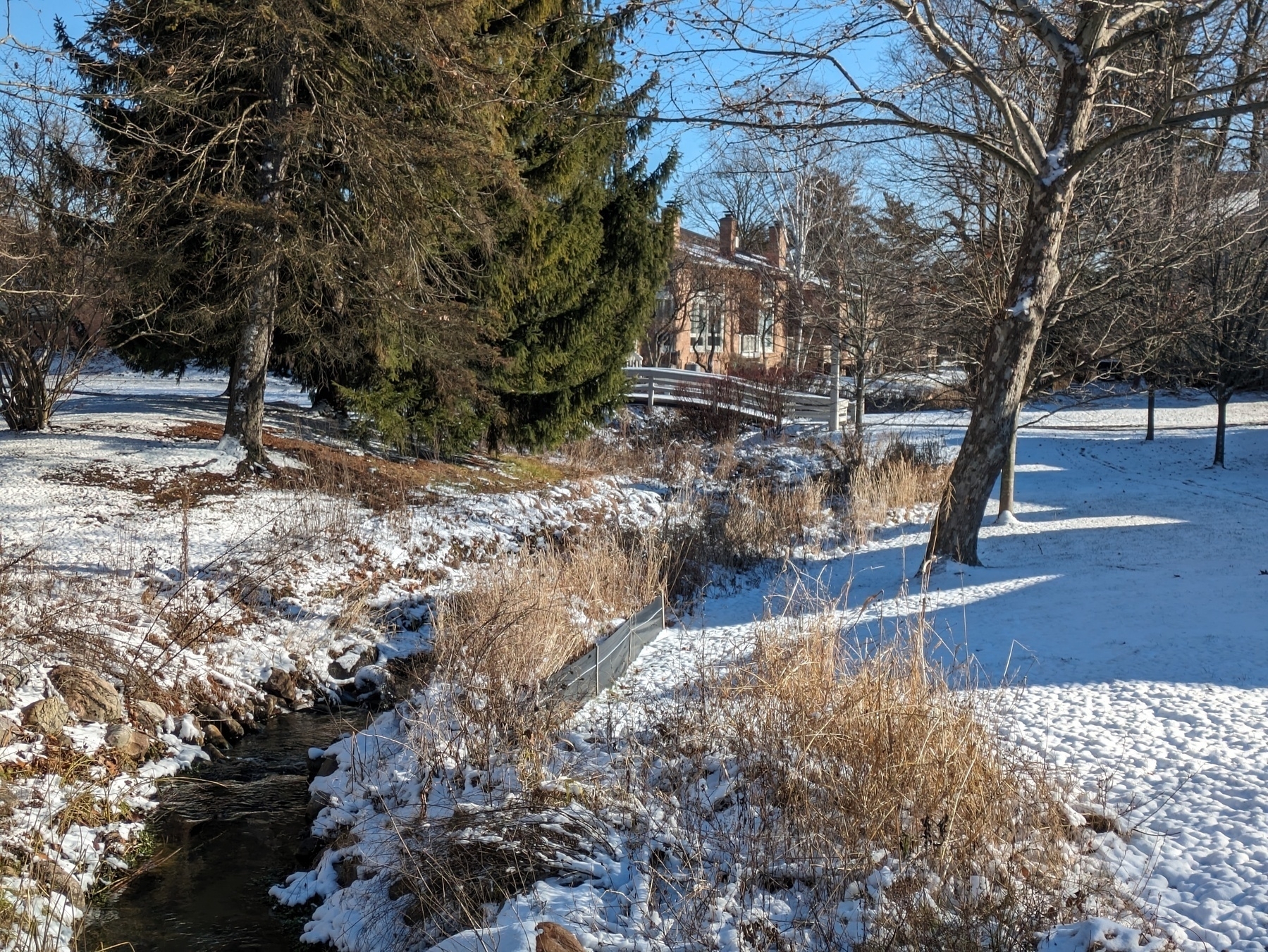 Snow covered grass on the banks of a creek. 